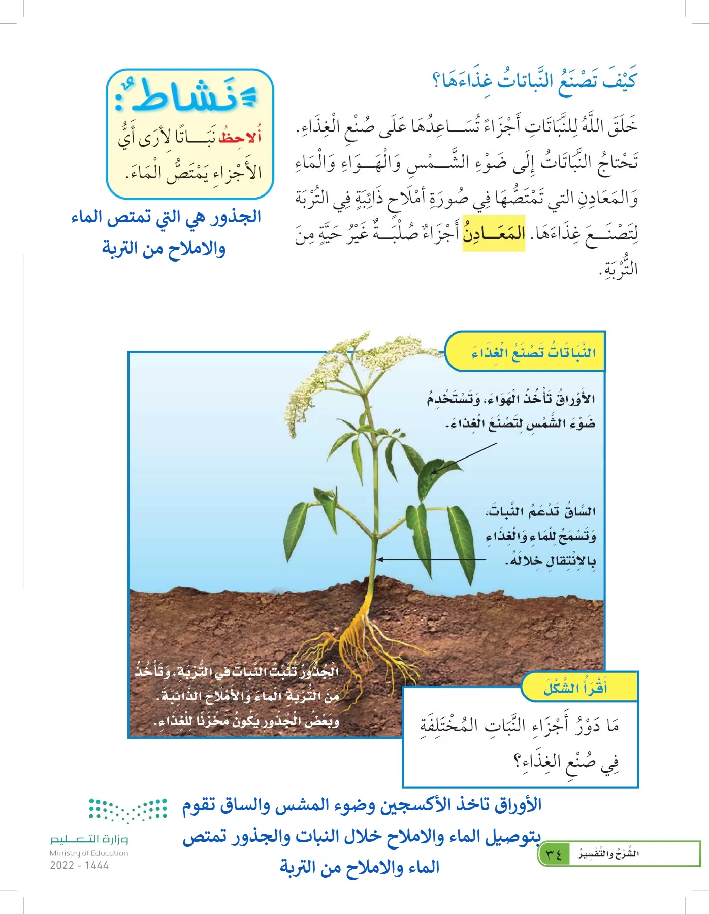 العلوم page-33