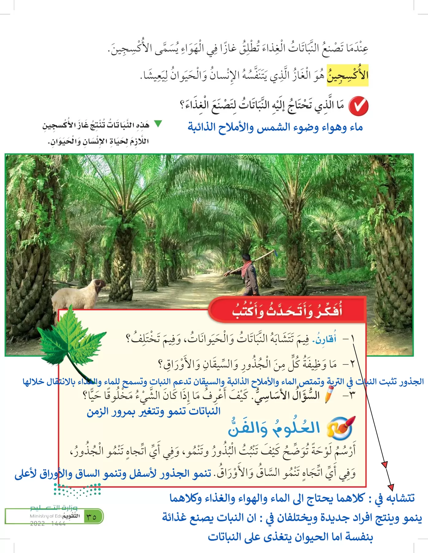 العلوم page-34