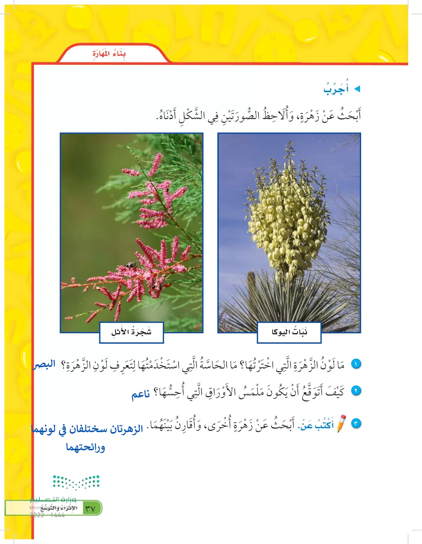 العلوم page-36