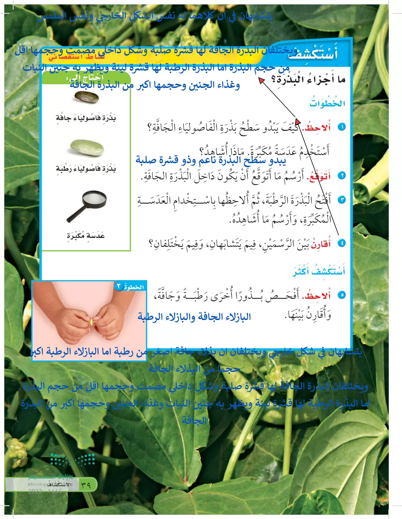 العلوم page-38