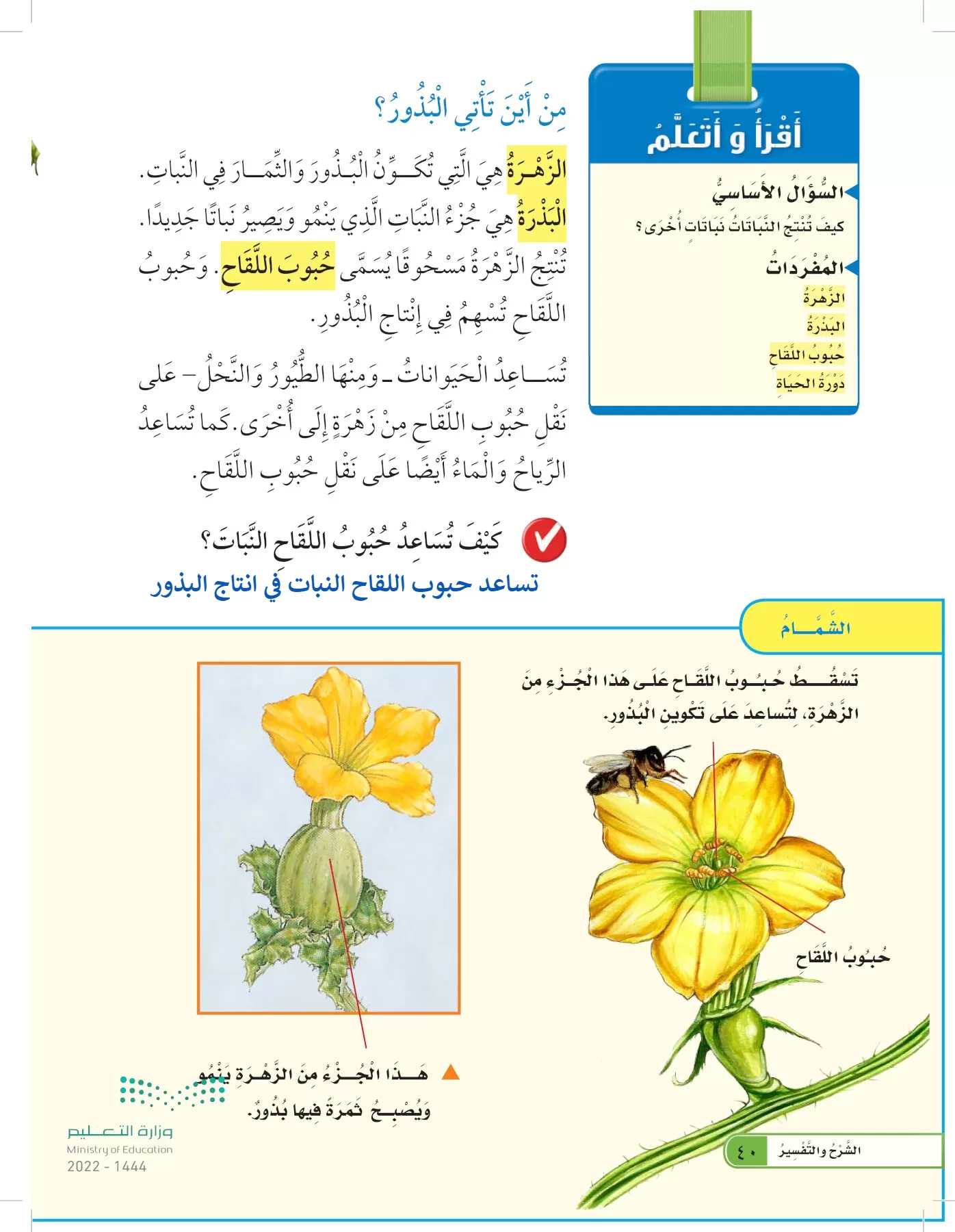 العلوم page-39