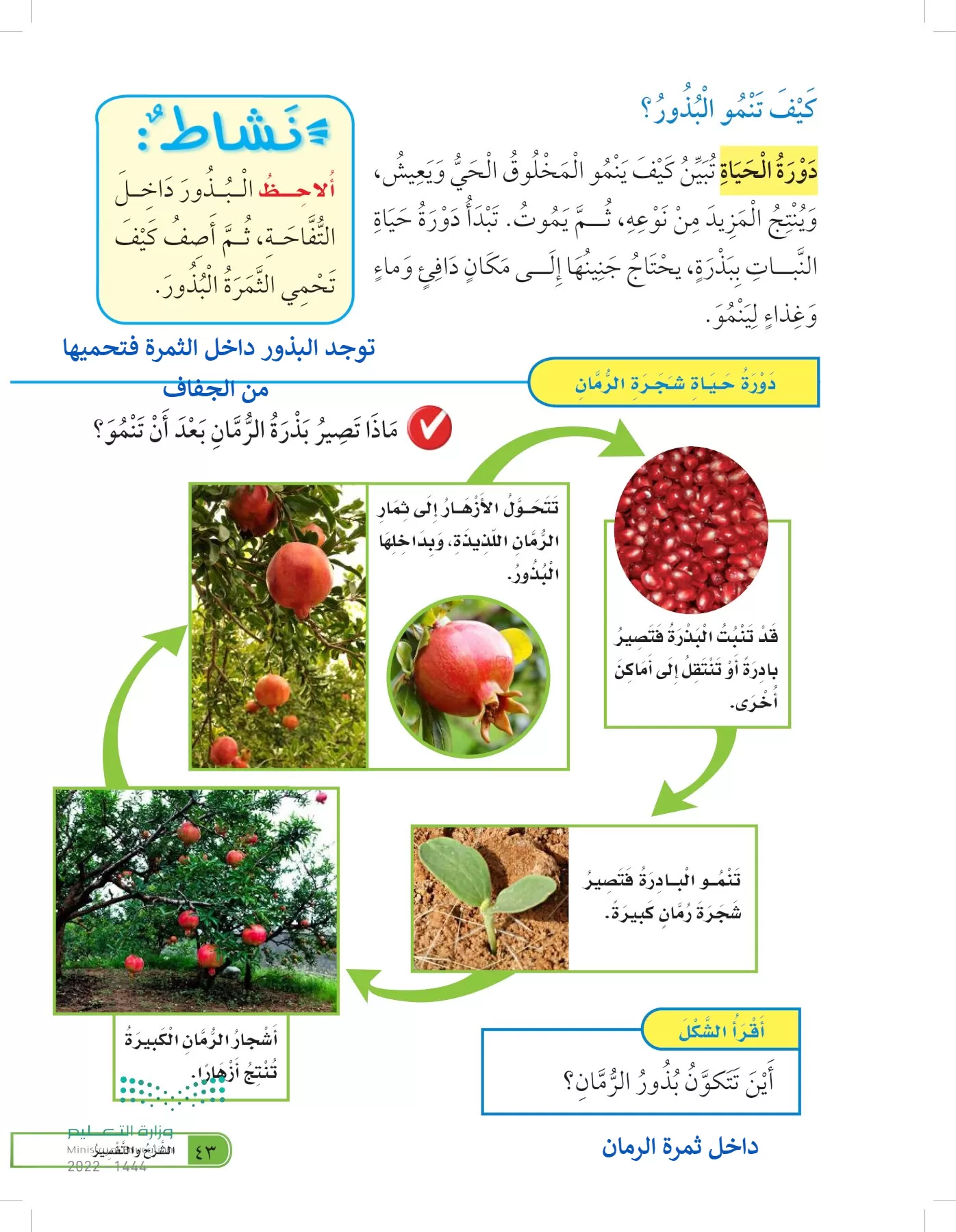 العلوم page-42