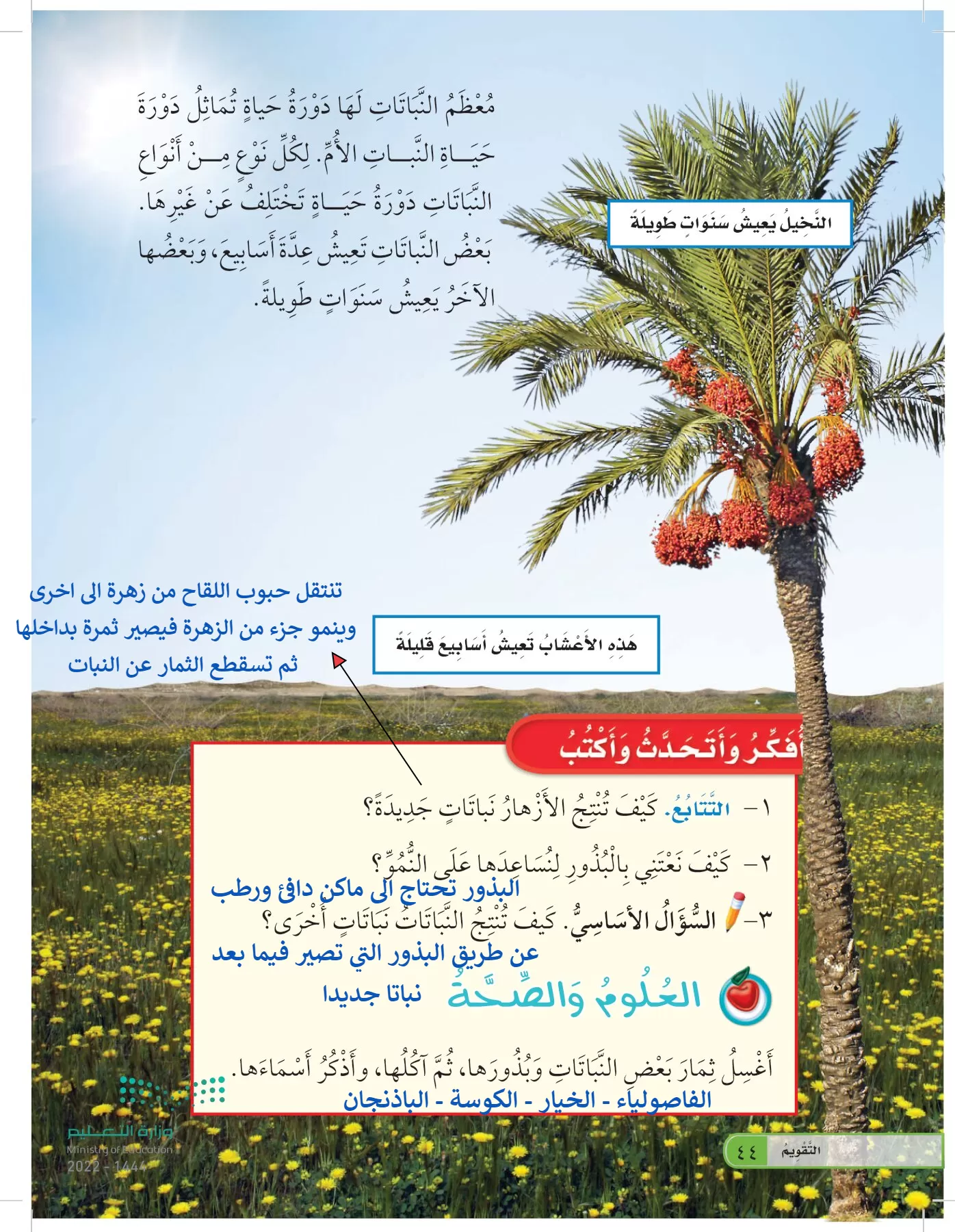 العلوم page-43