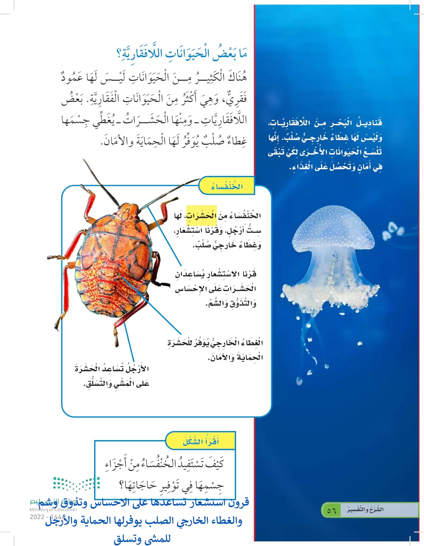 العلوم page-55