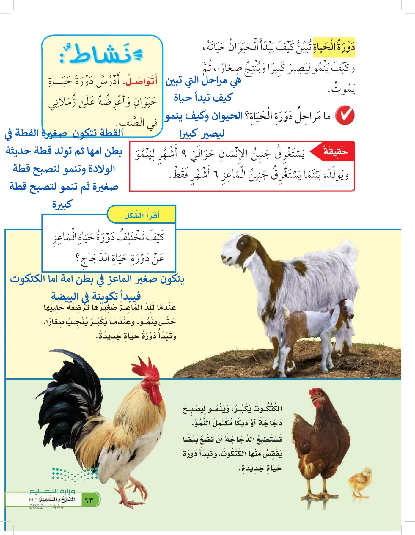 العلوم page-62