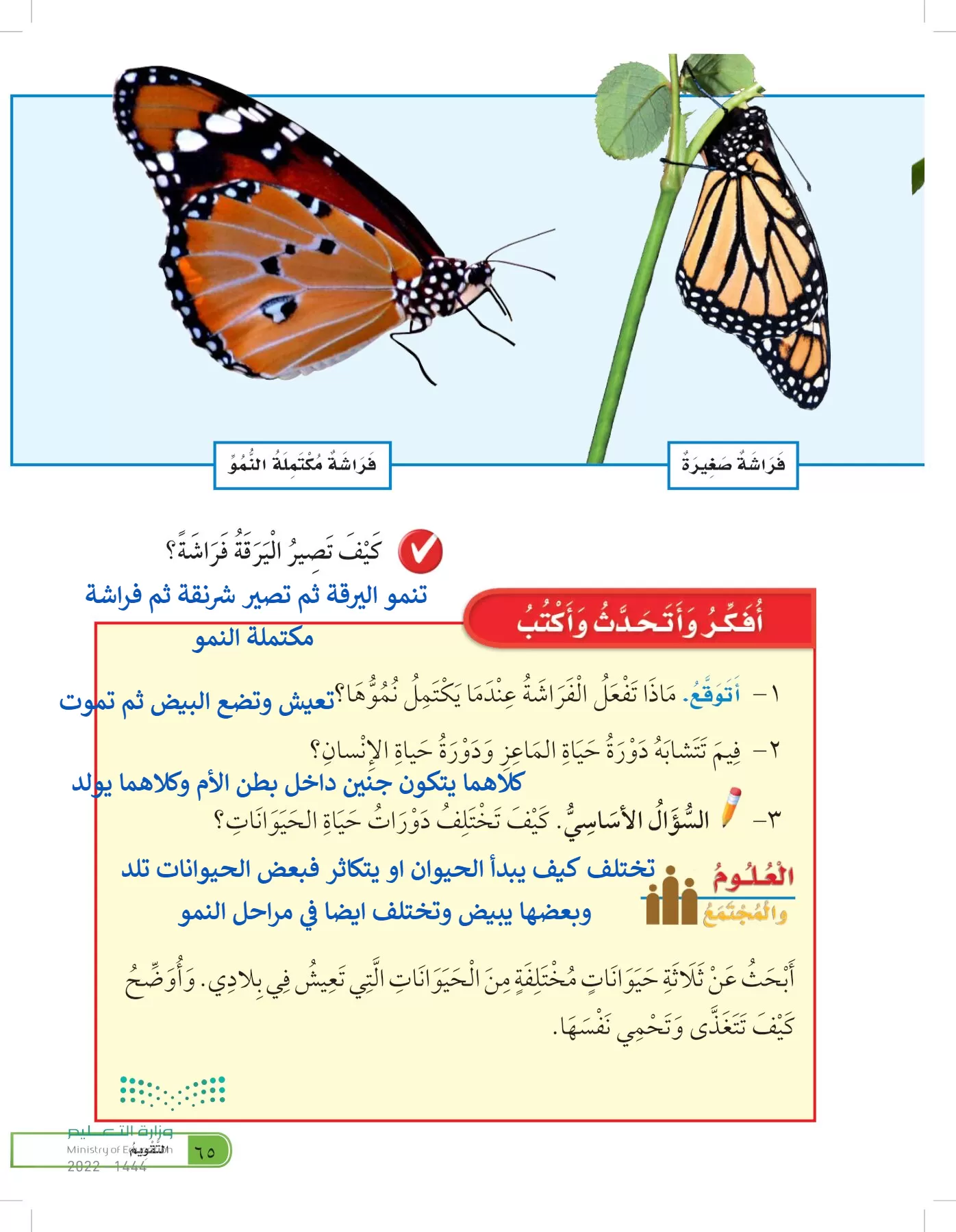 العلوم page-64