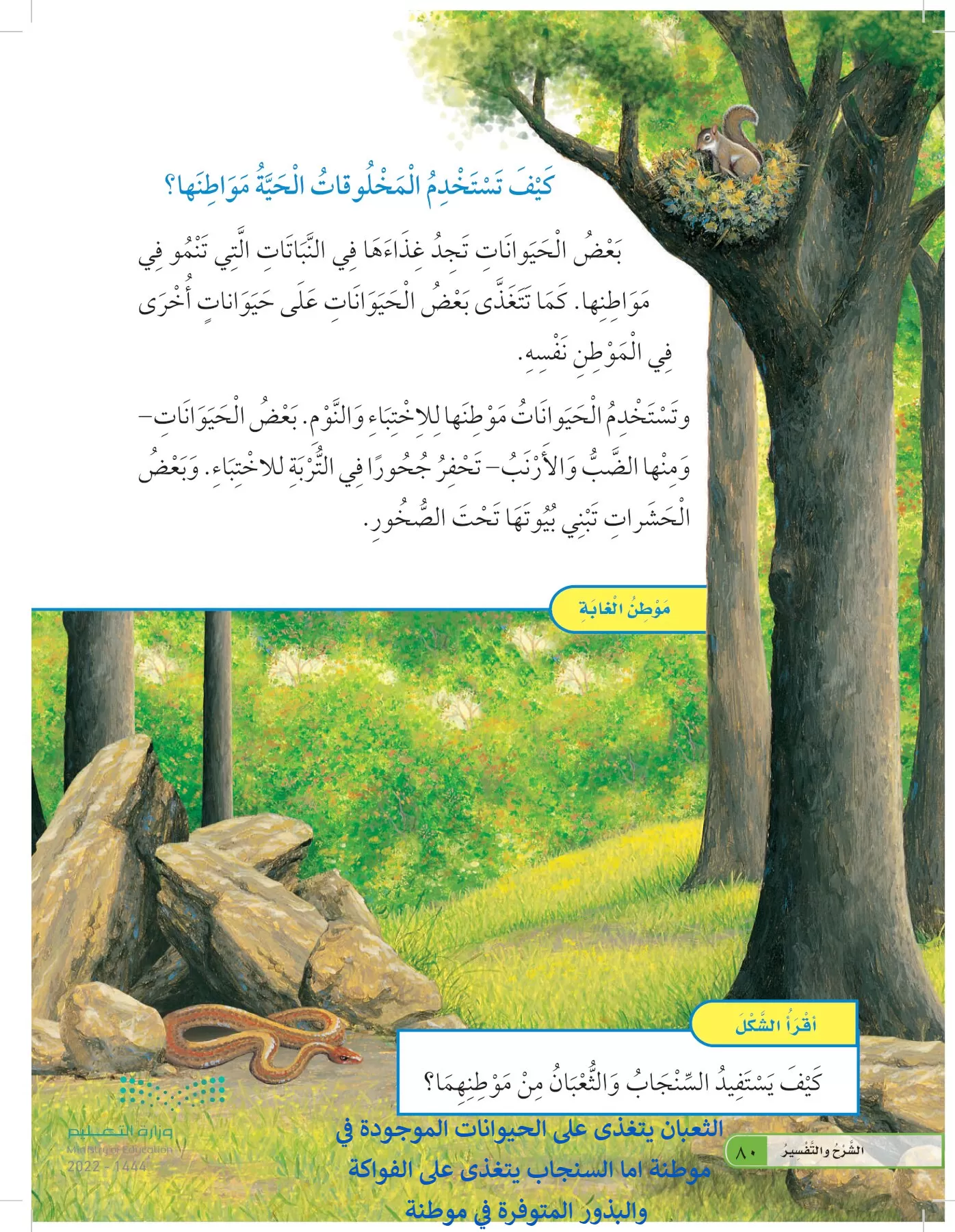 العلوم page-79