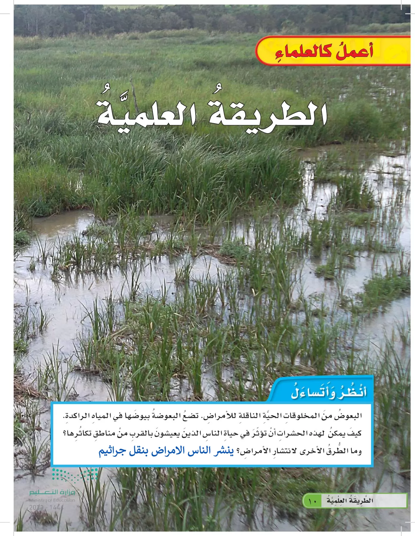 العلوم page-9