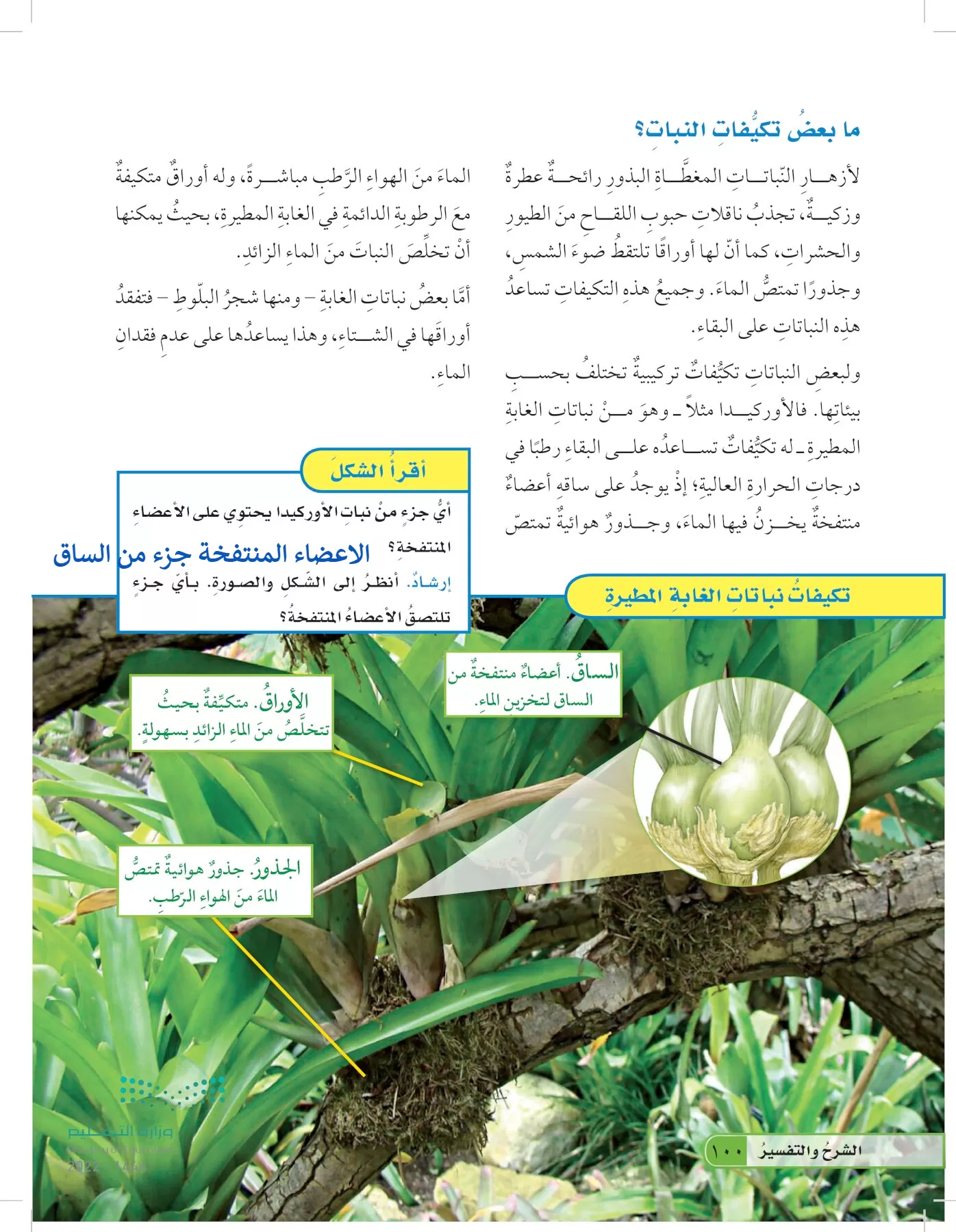 العلوم page-99