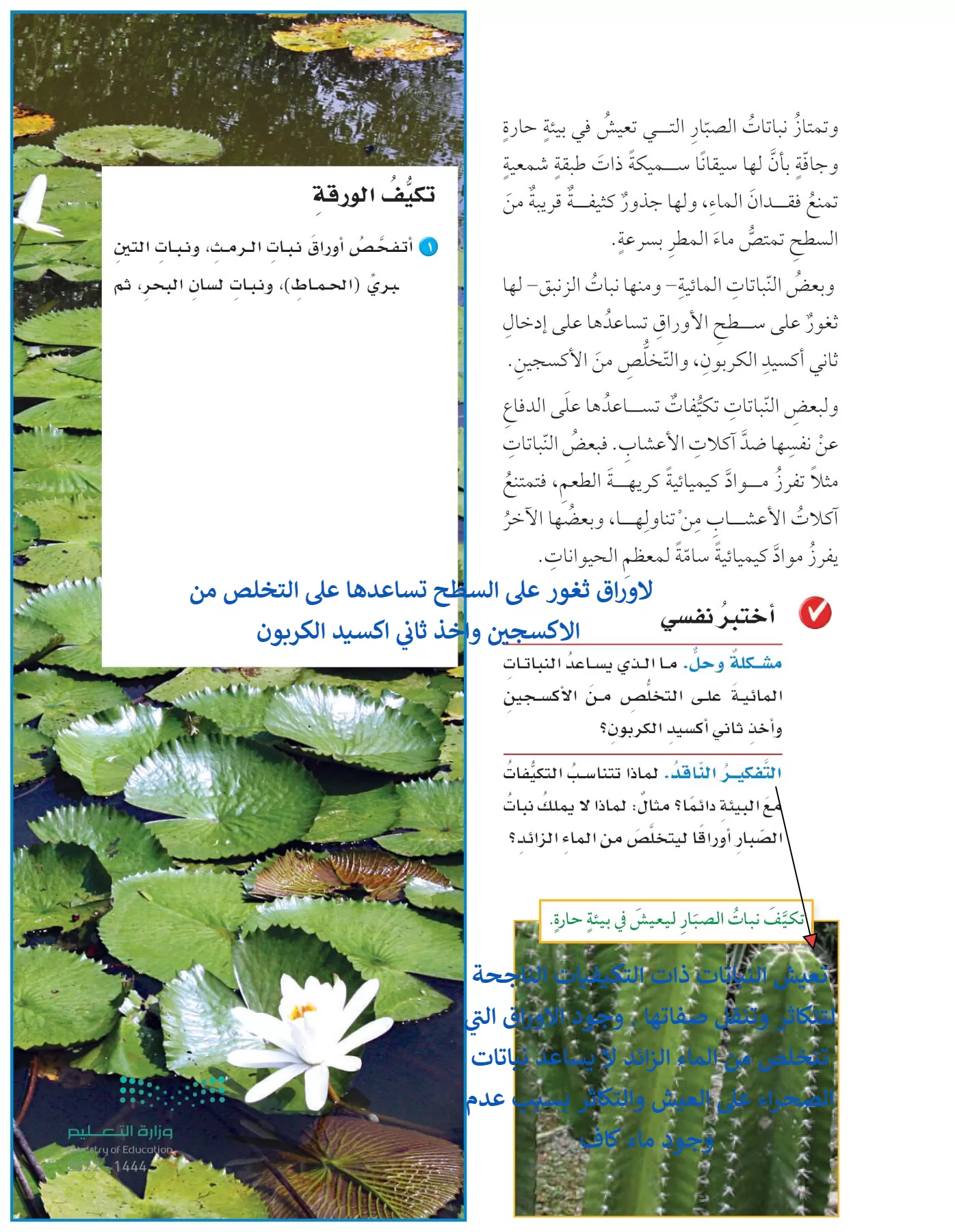 العلوم page-100