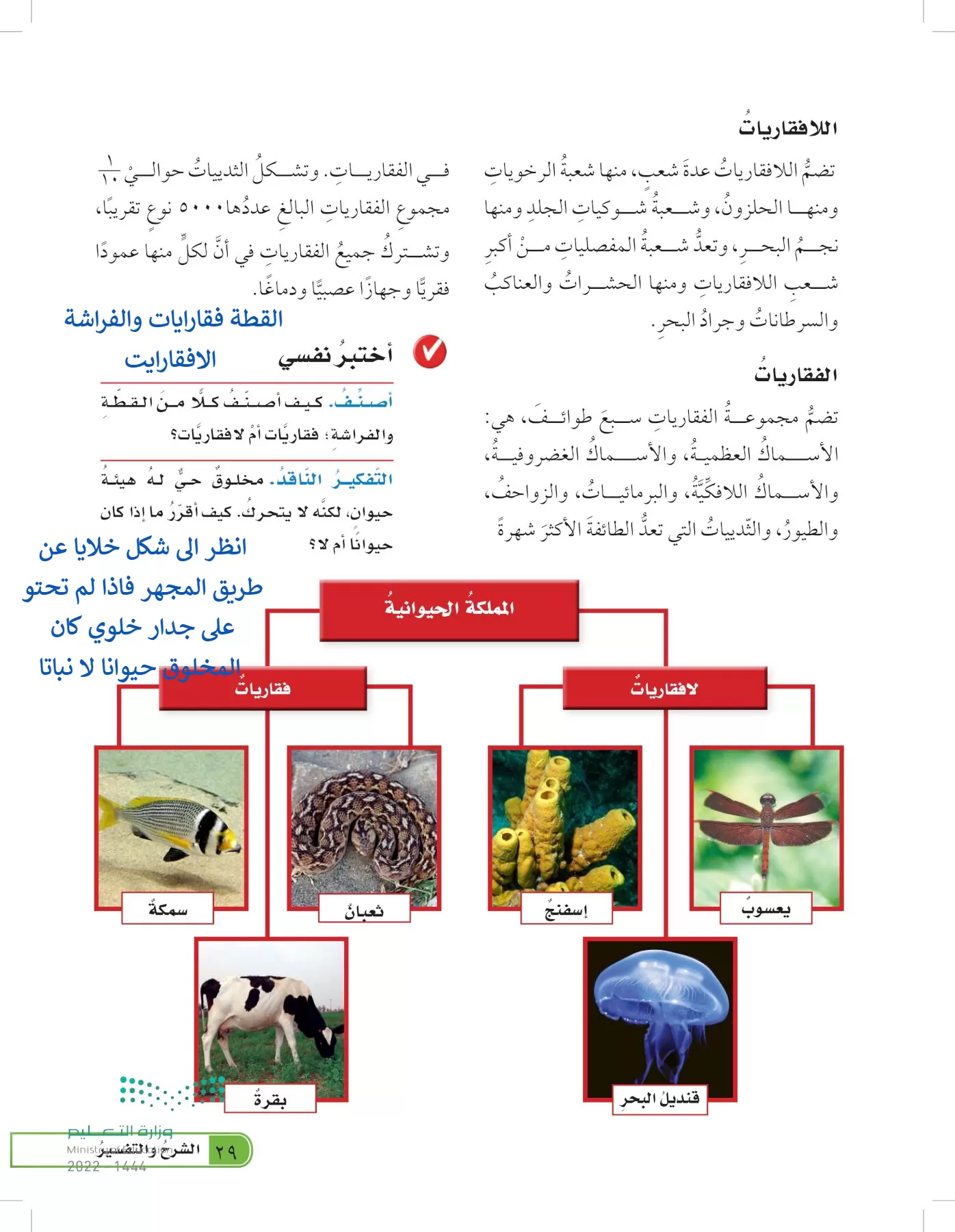 العلوم page-28