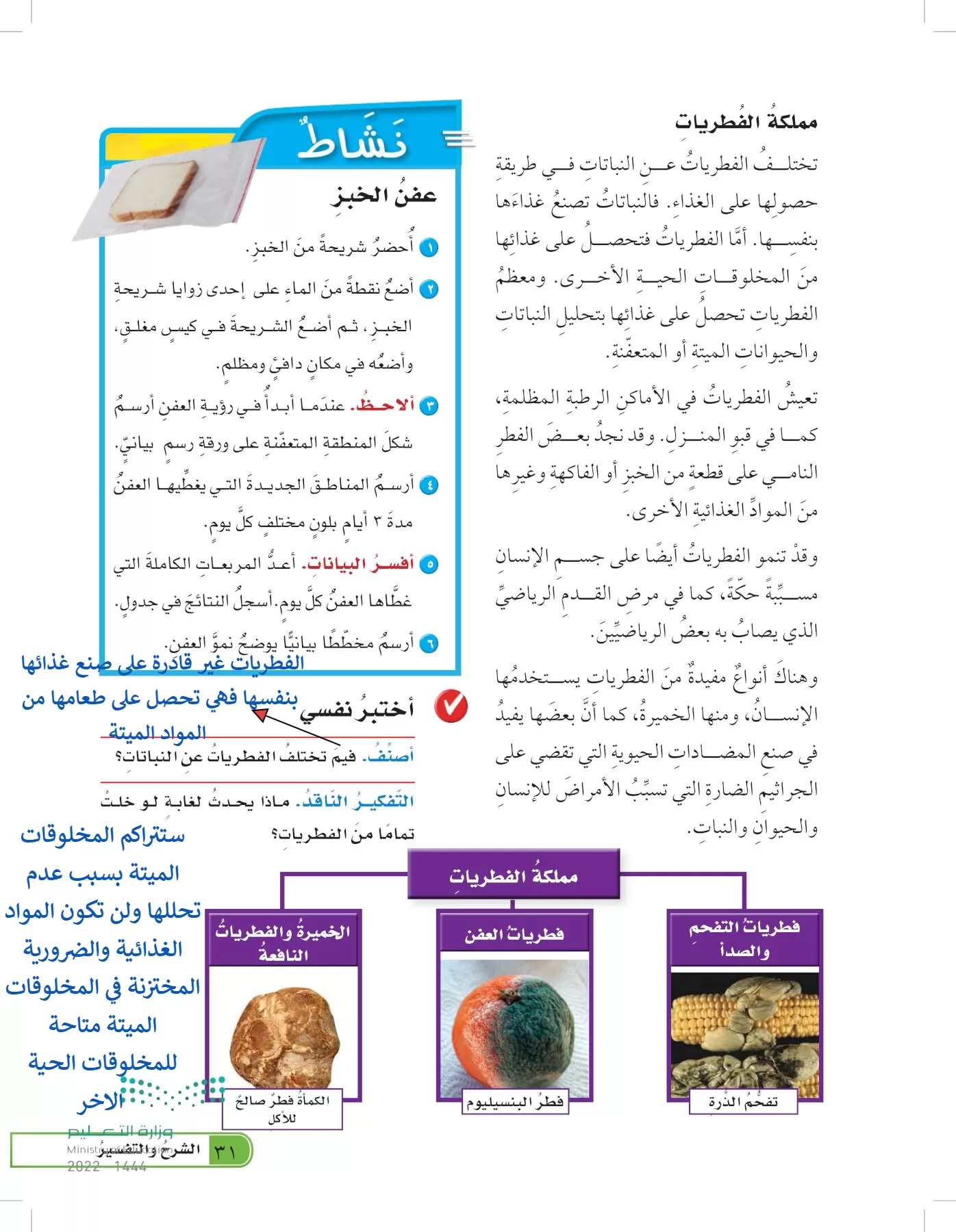 العلوم page-30