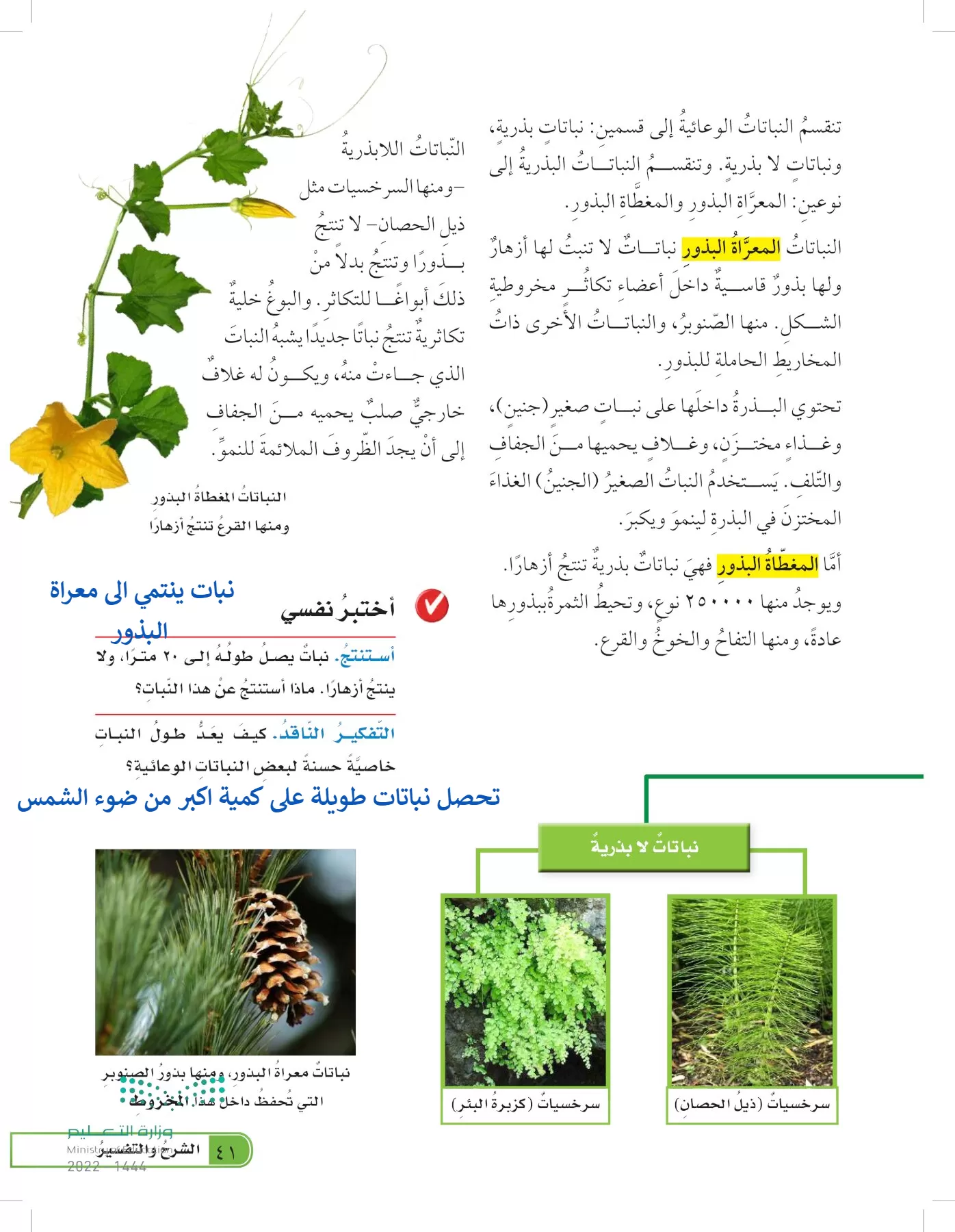 العلوم page-40