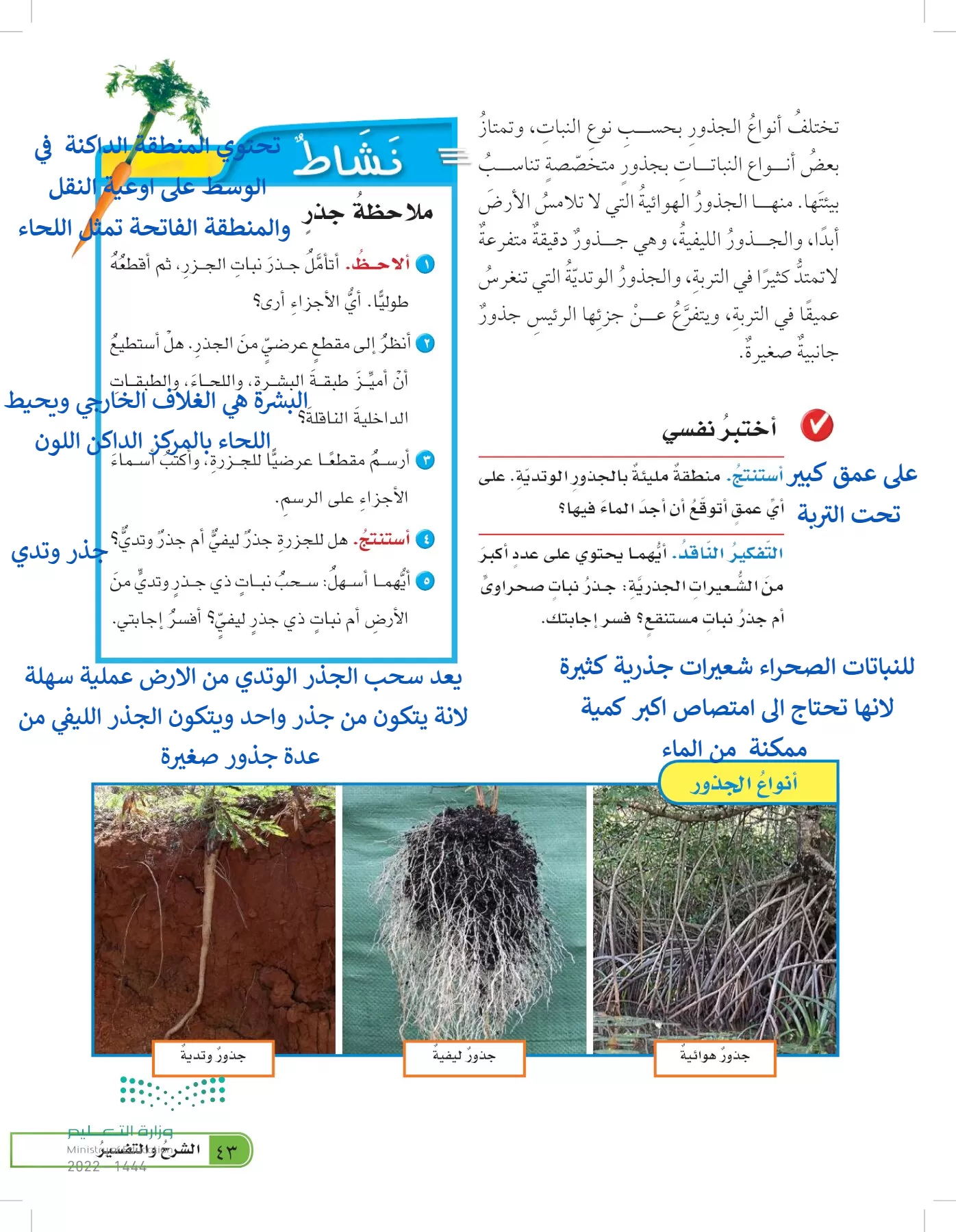 العلوم page-42