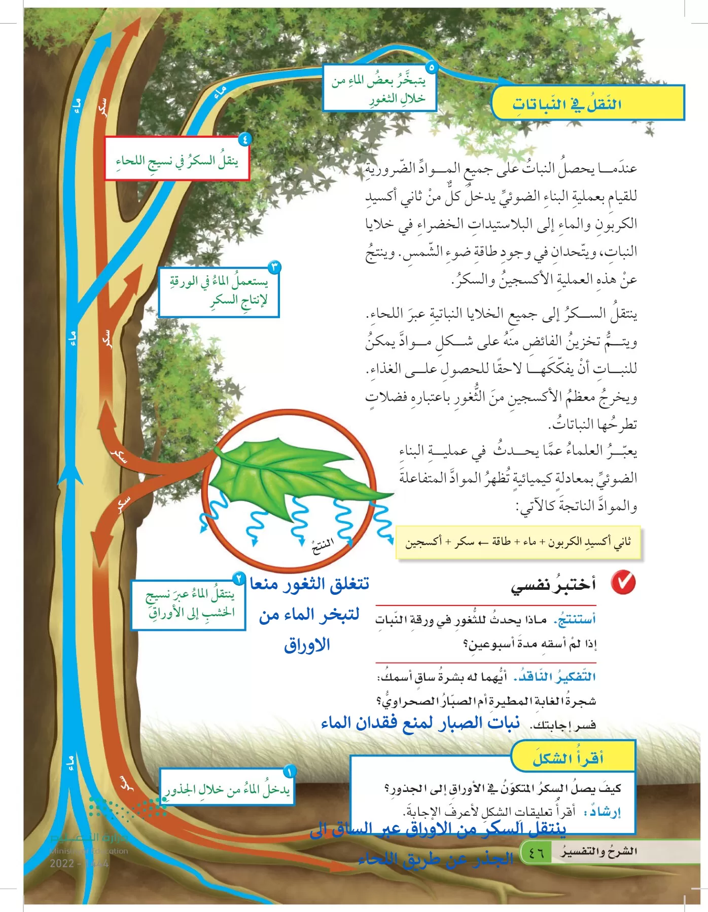 العلوم page-45