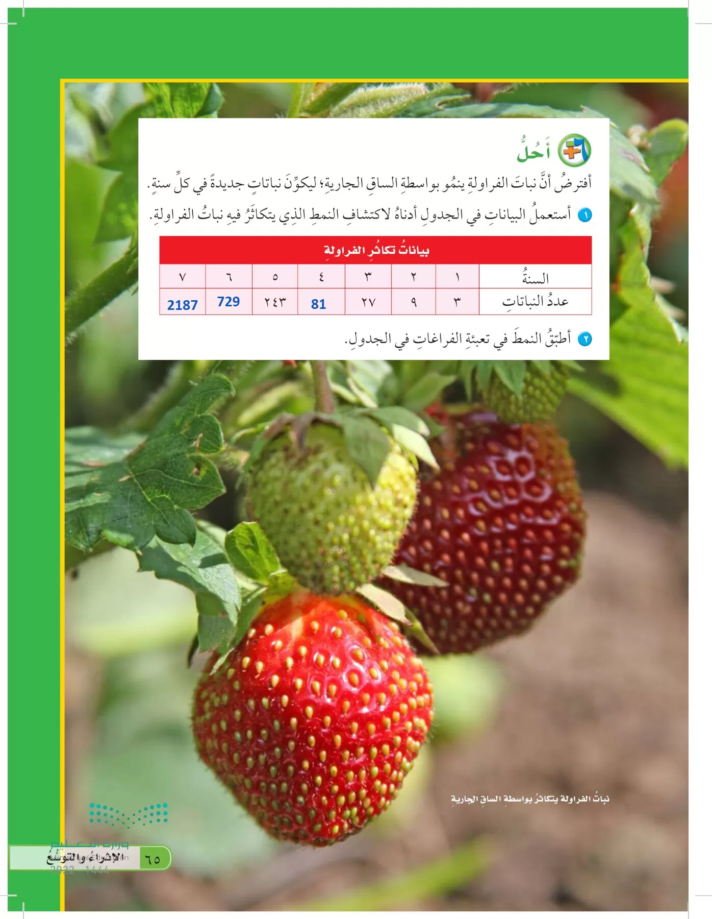 العلوم page-64