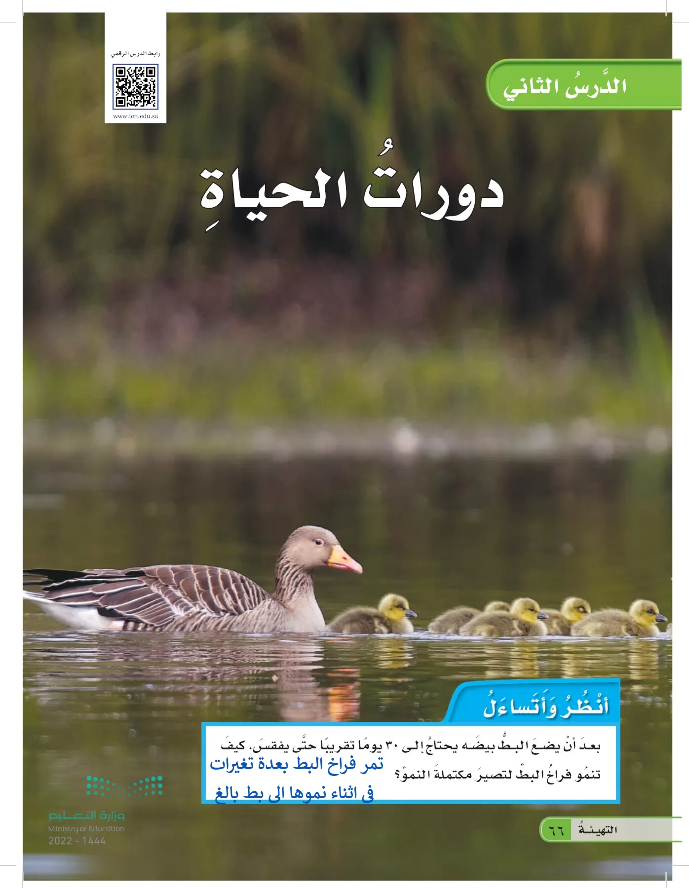 العلوم page-65