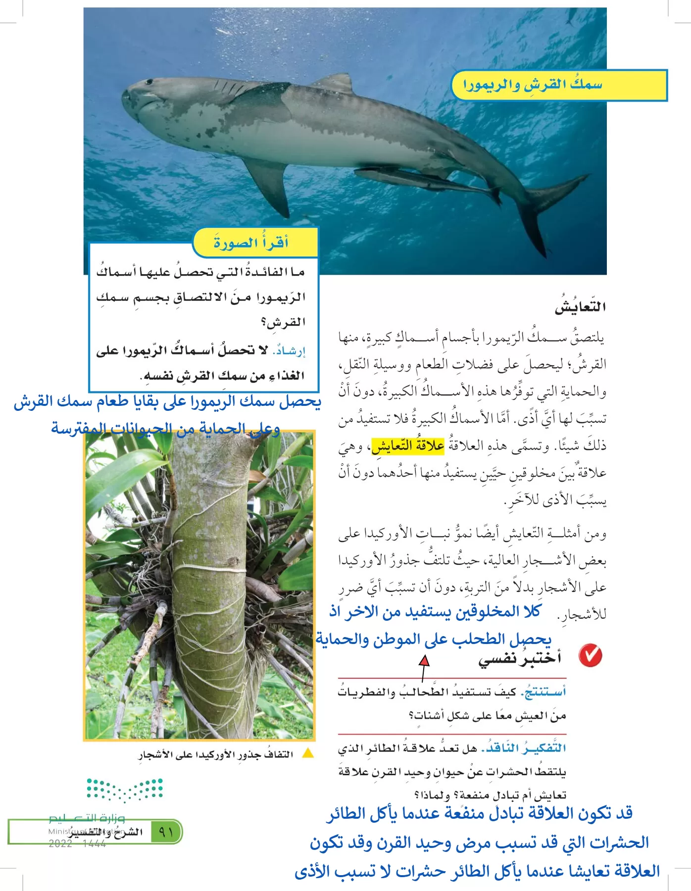 العلوم page-90