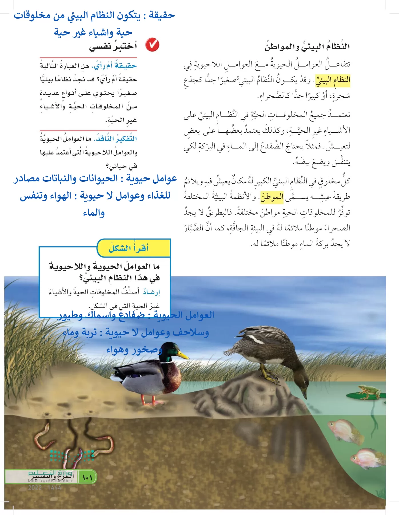 العلوم page-100