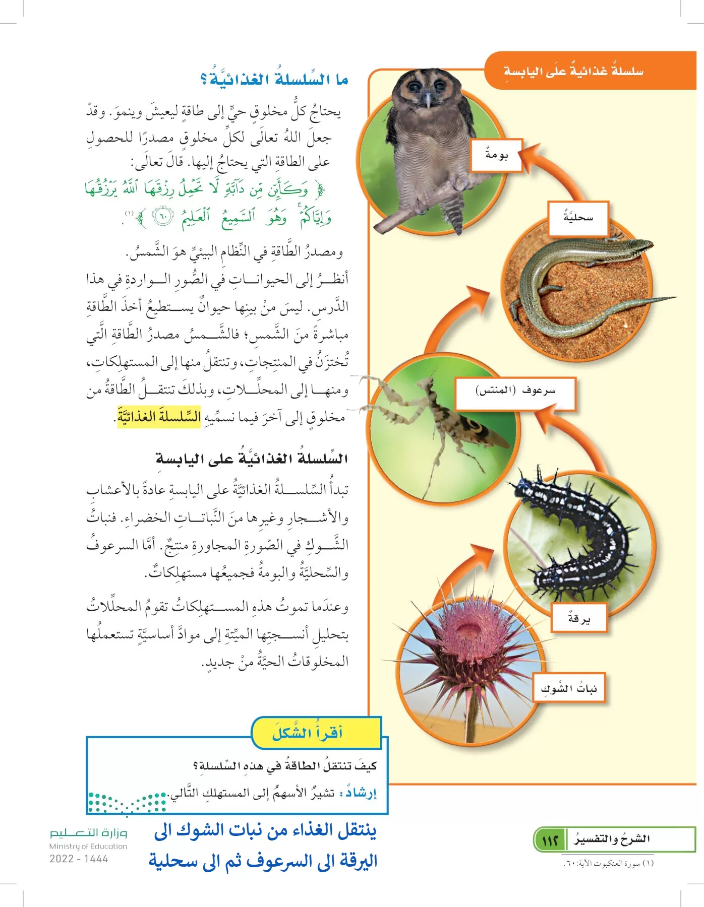 العلوم page-111