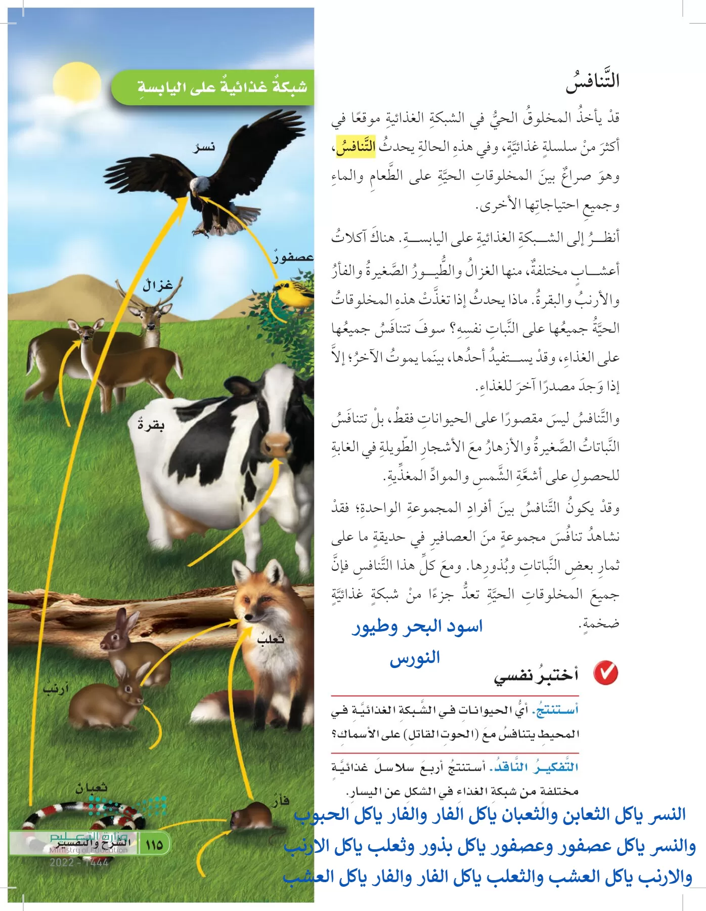 العلوم page-114