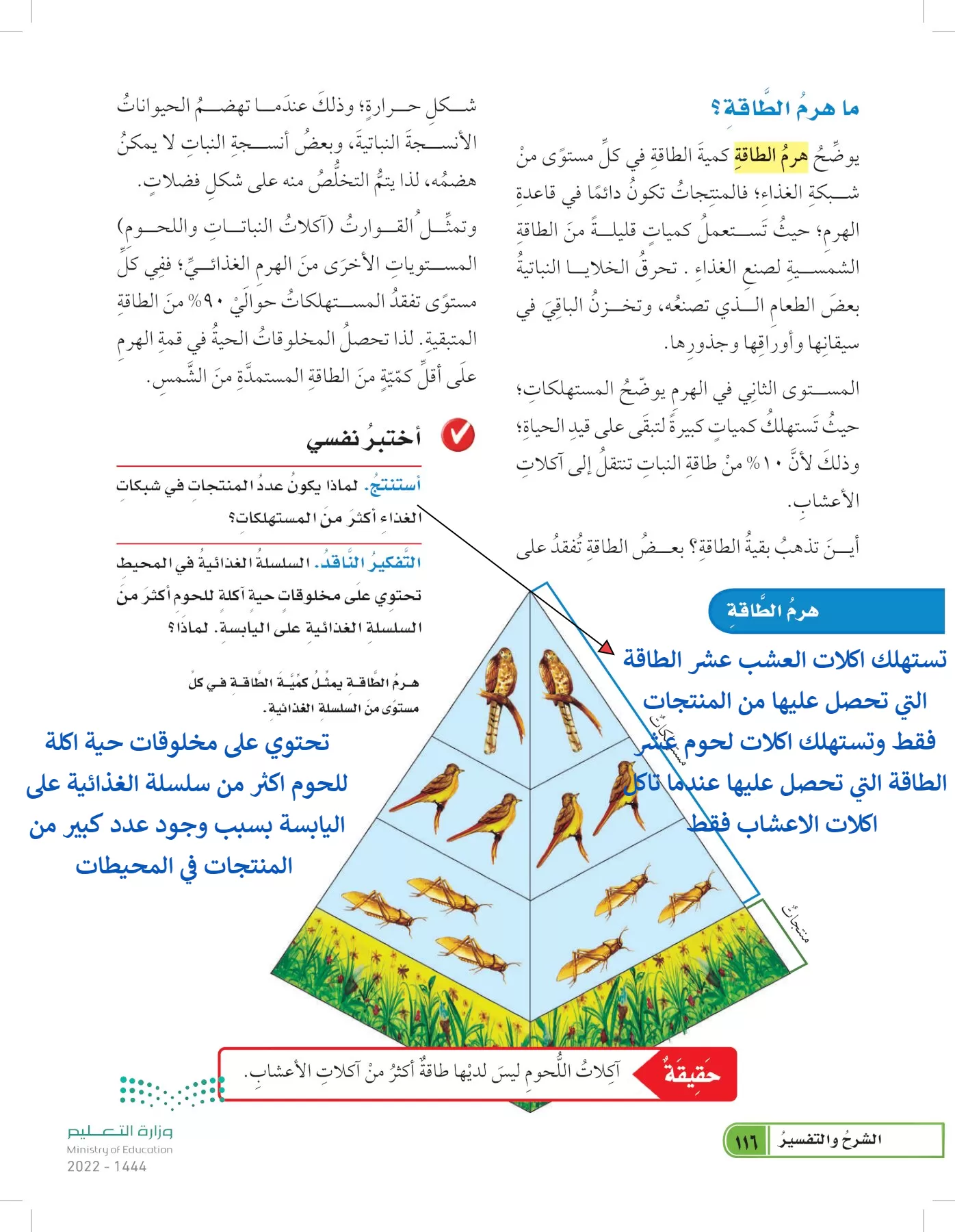 العلوم page-115