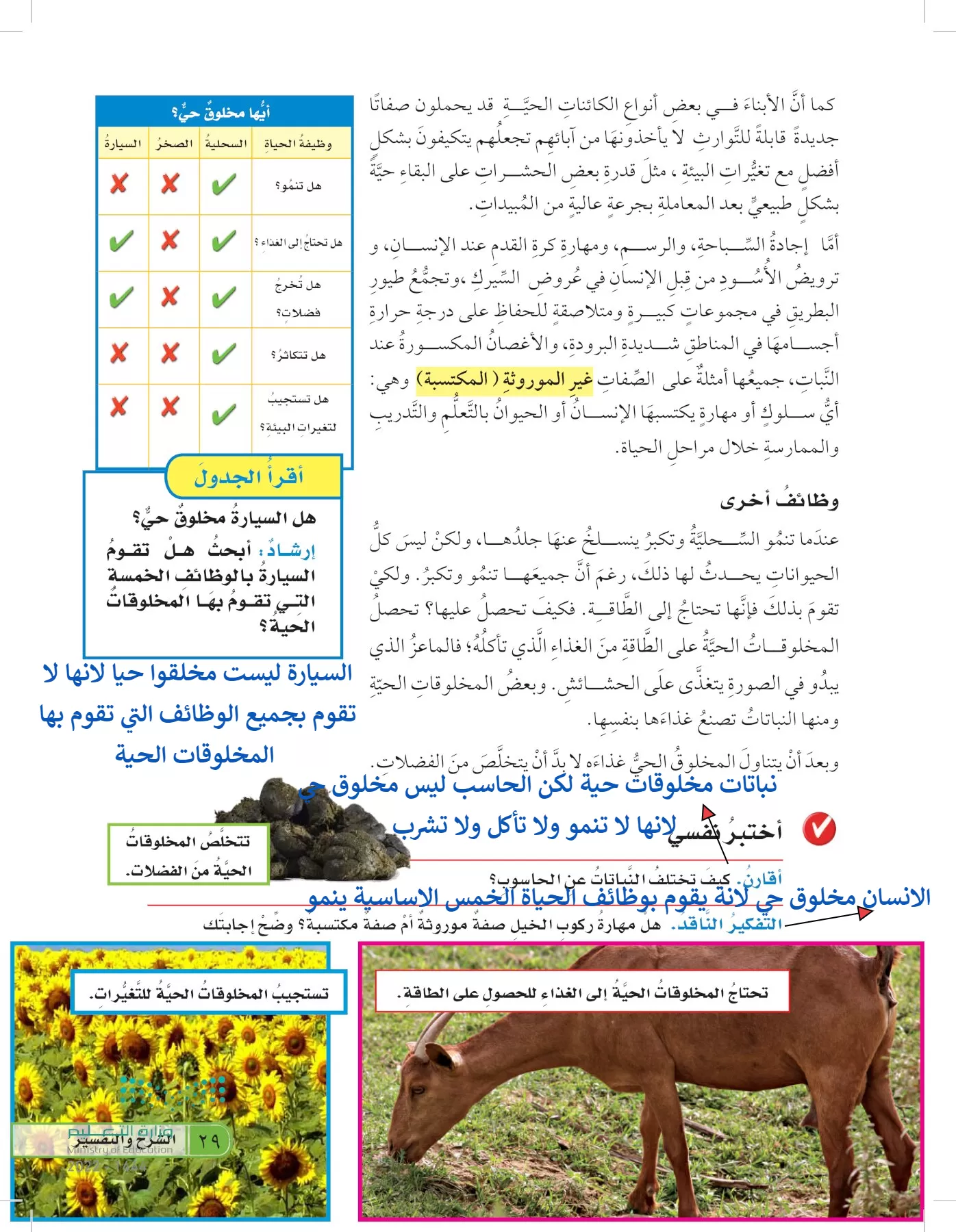 العلوم page-28