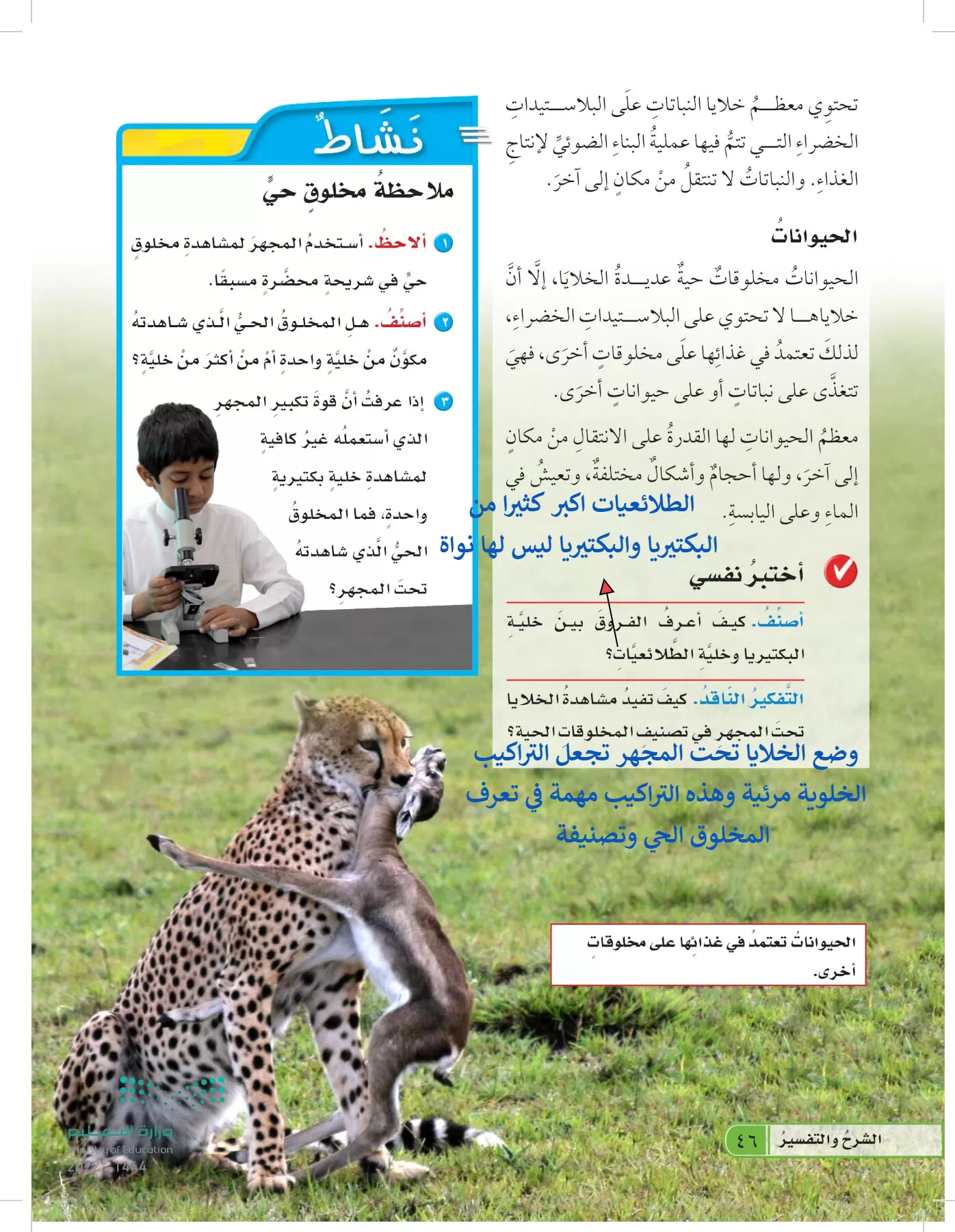 العلوم page-45