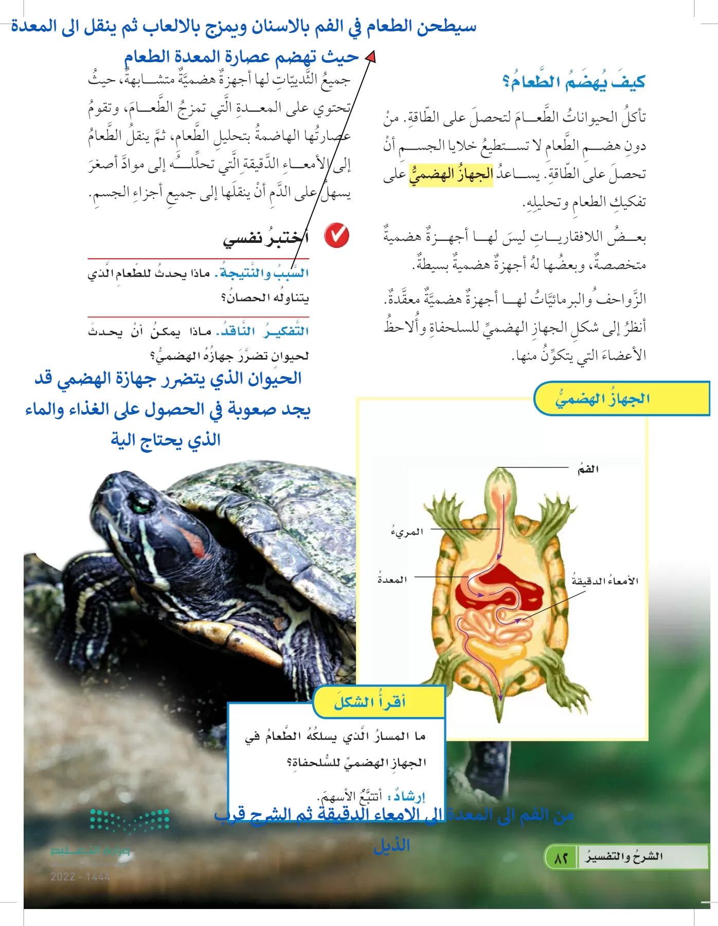 العلوم page-81