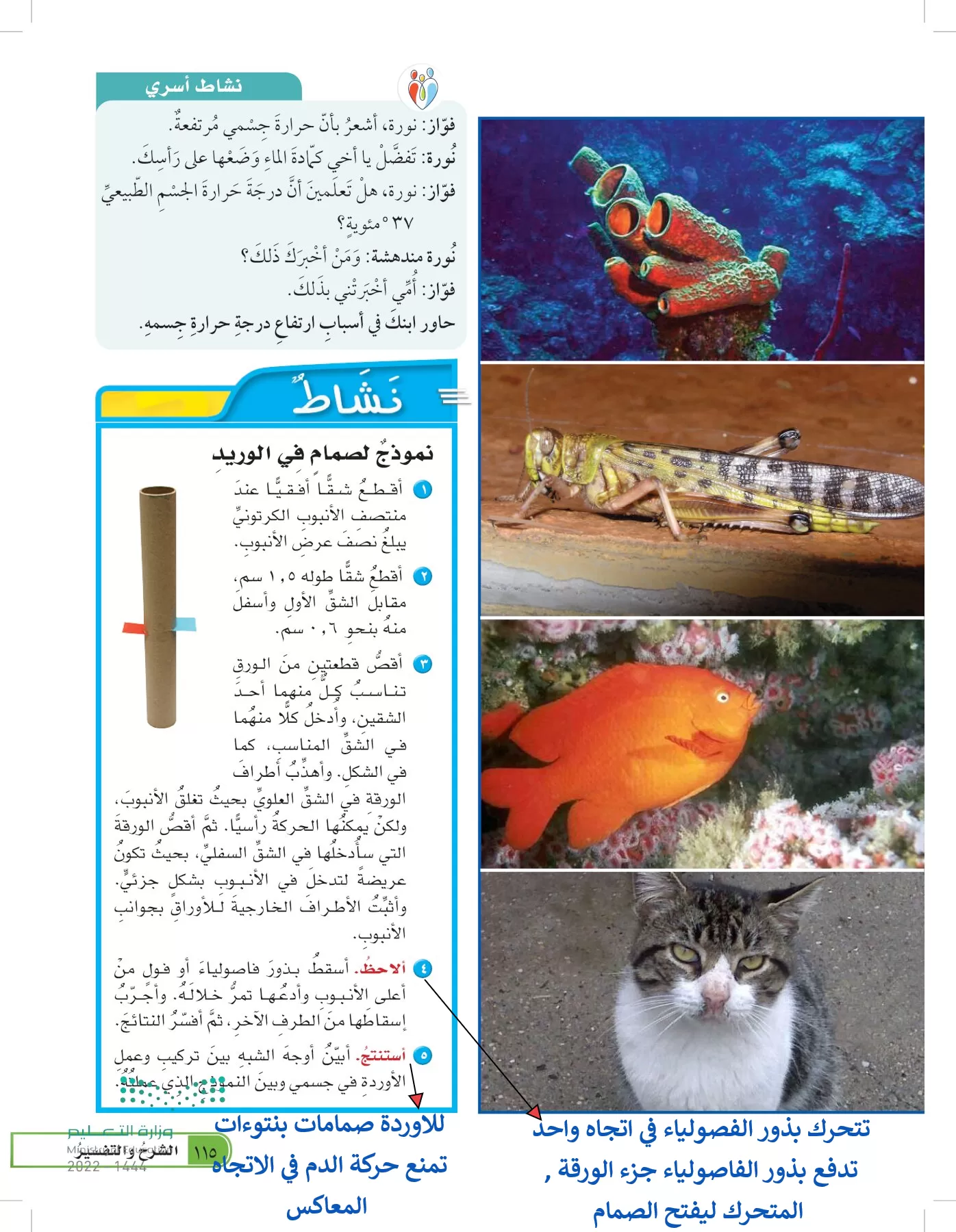 العلوم page-114