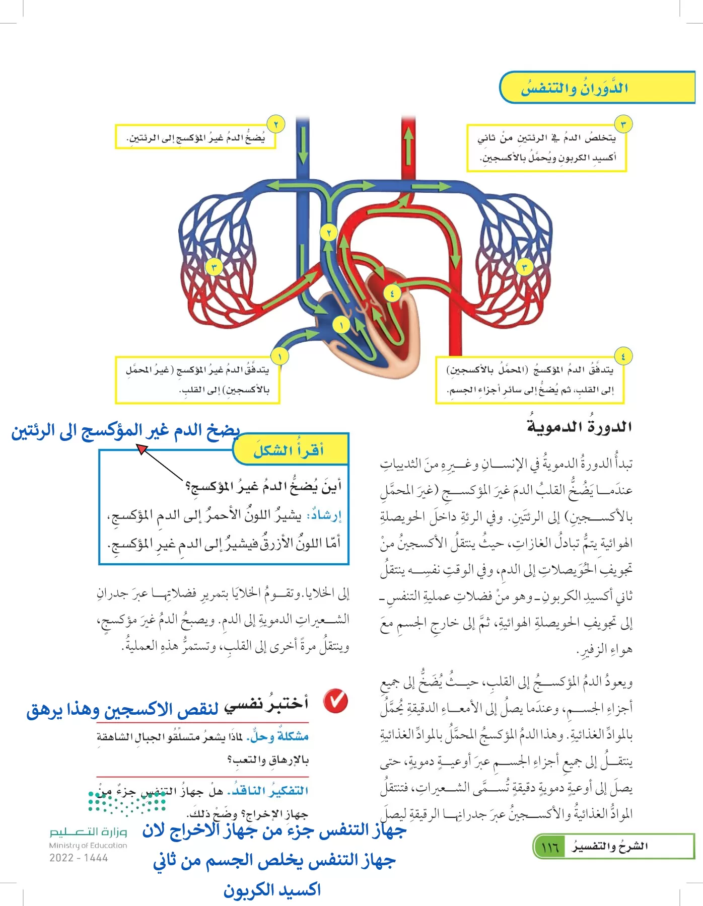 العلوم page-115