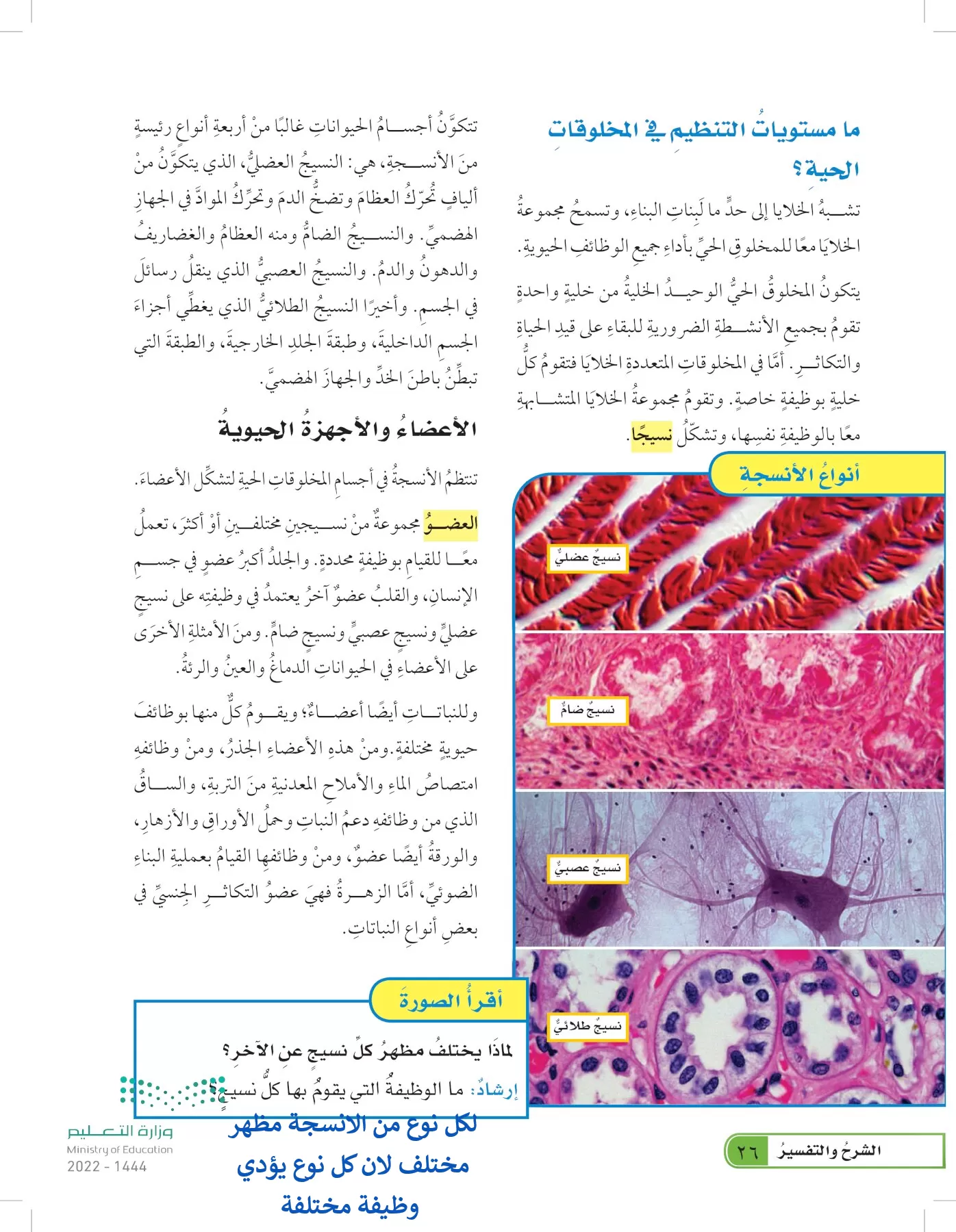 العلوم page-25