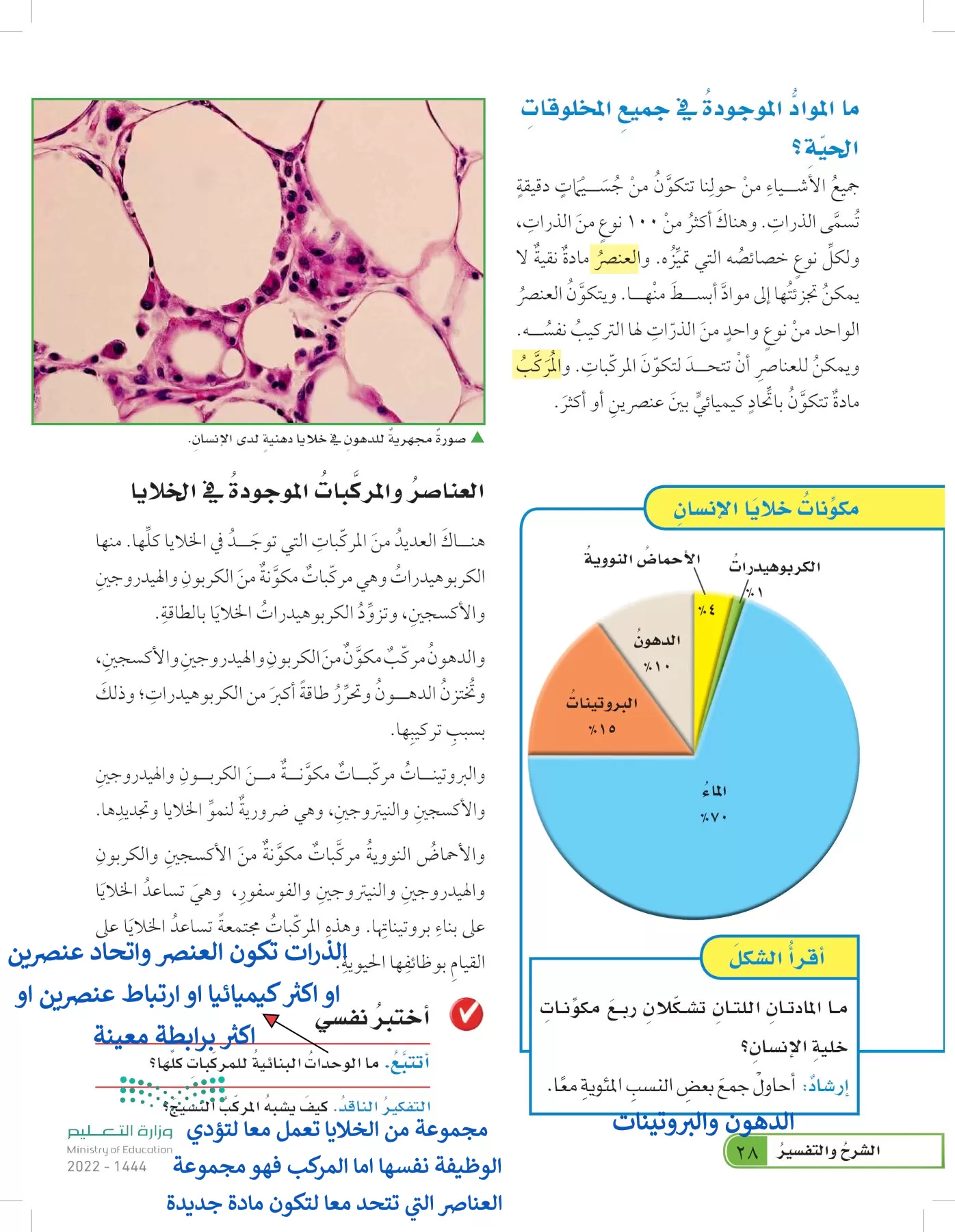 العلوم page-27