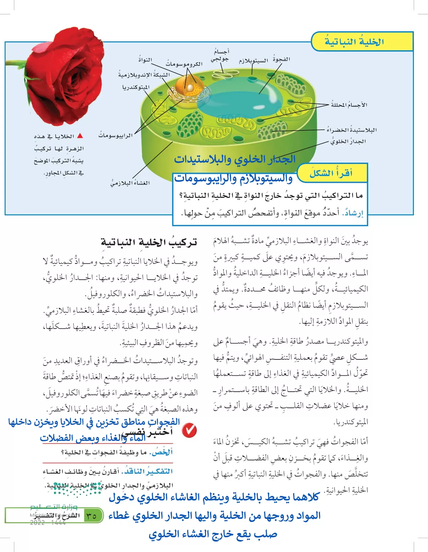 العلوم page-34