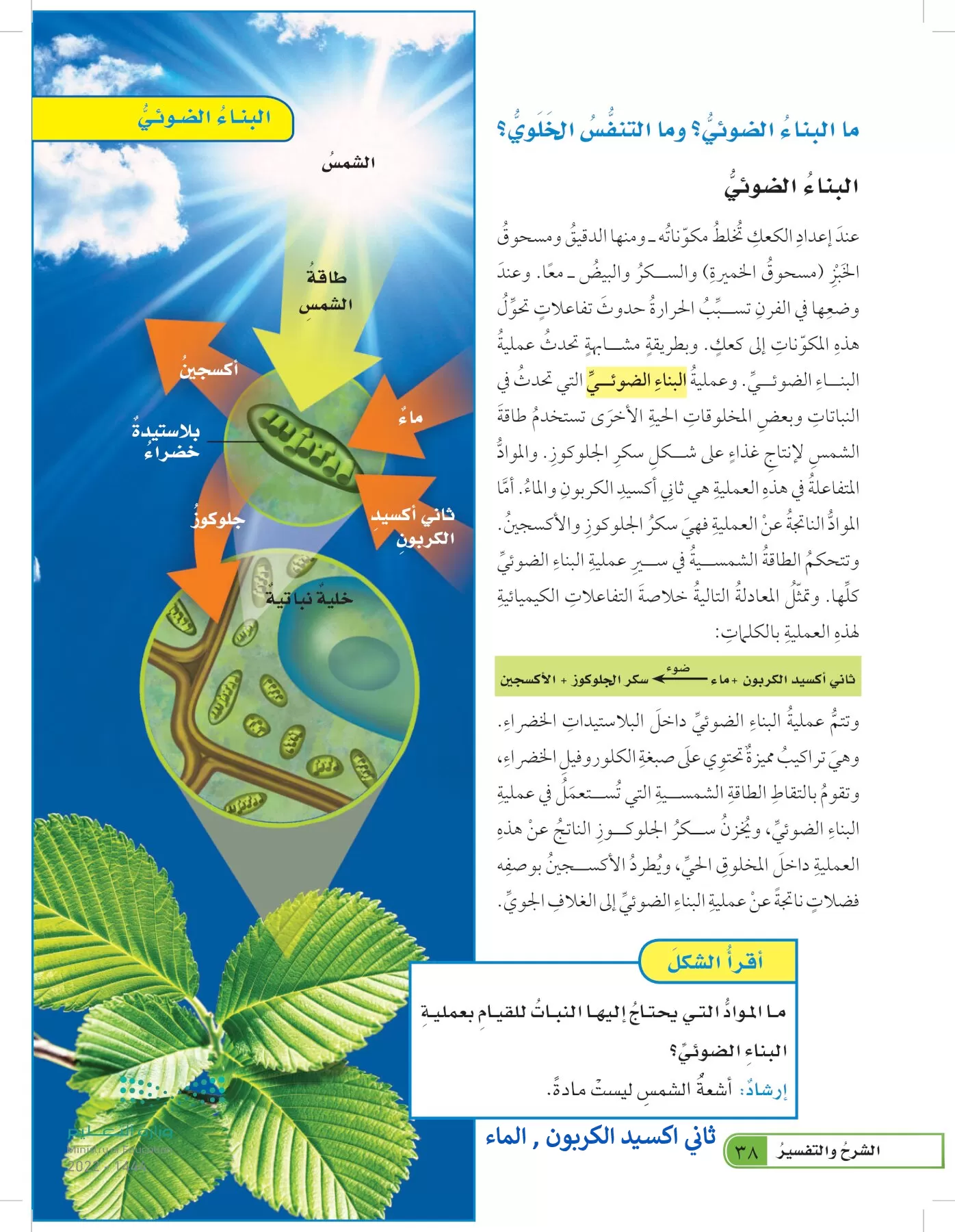 العلوم page-37