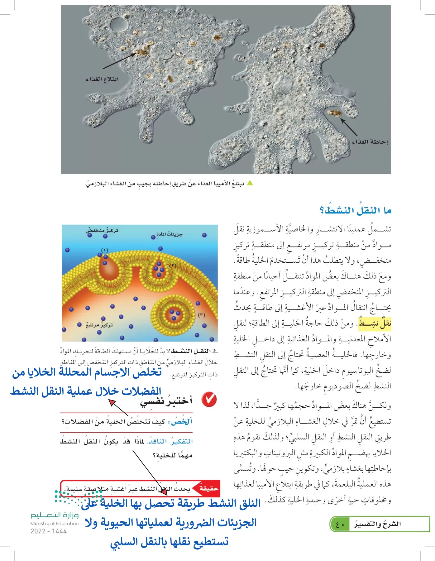 العلوم page-39