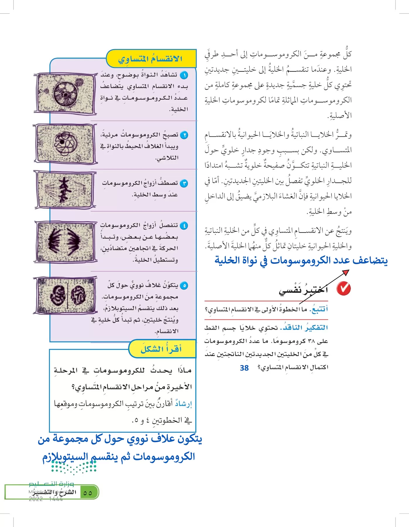 العلوم page-54