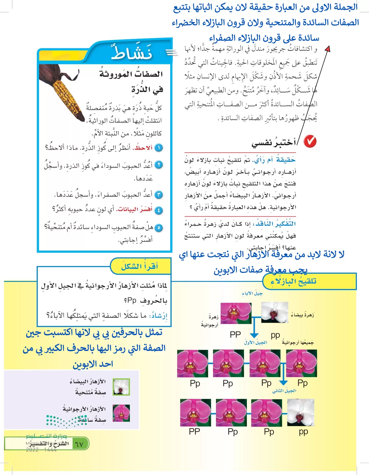 العلوم page-66