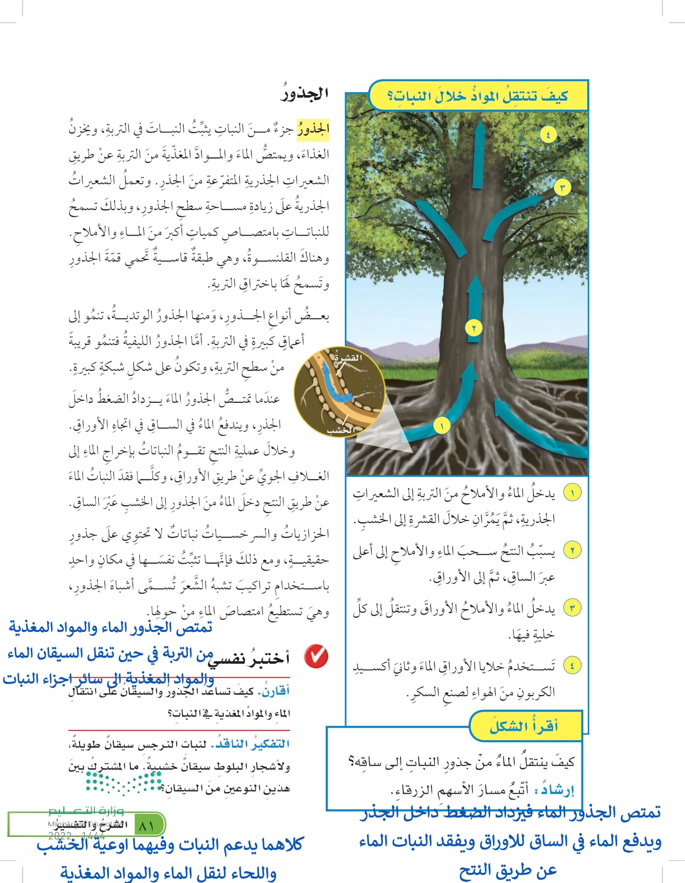 العلوم page-80