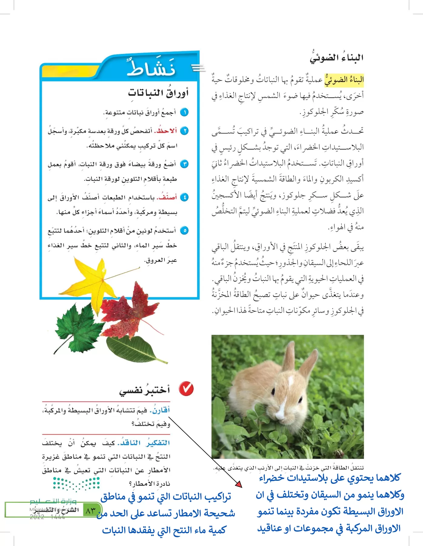 العلوم page-82