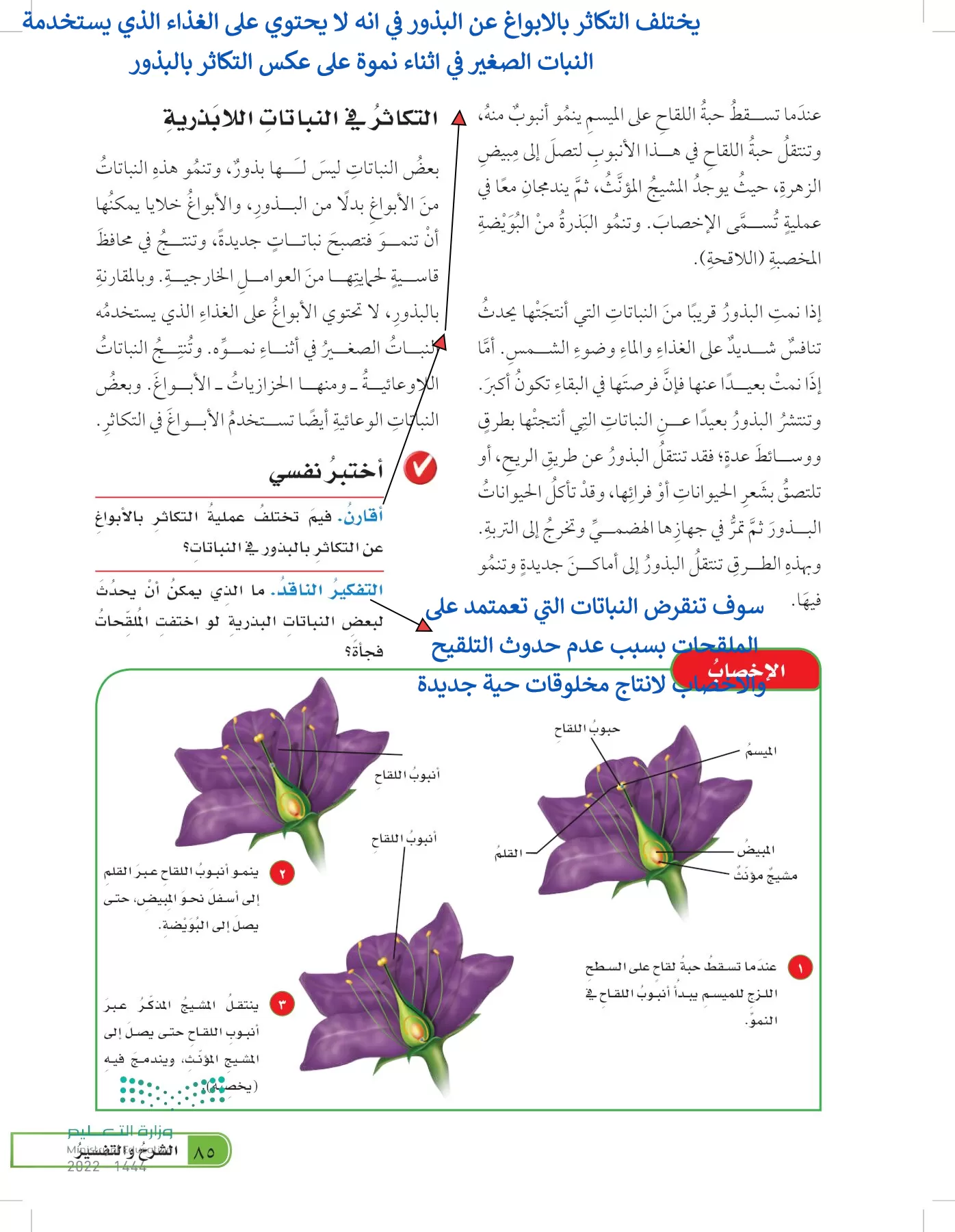 العلوم page-84