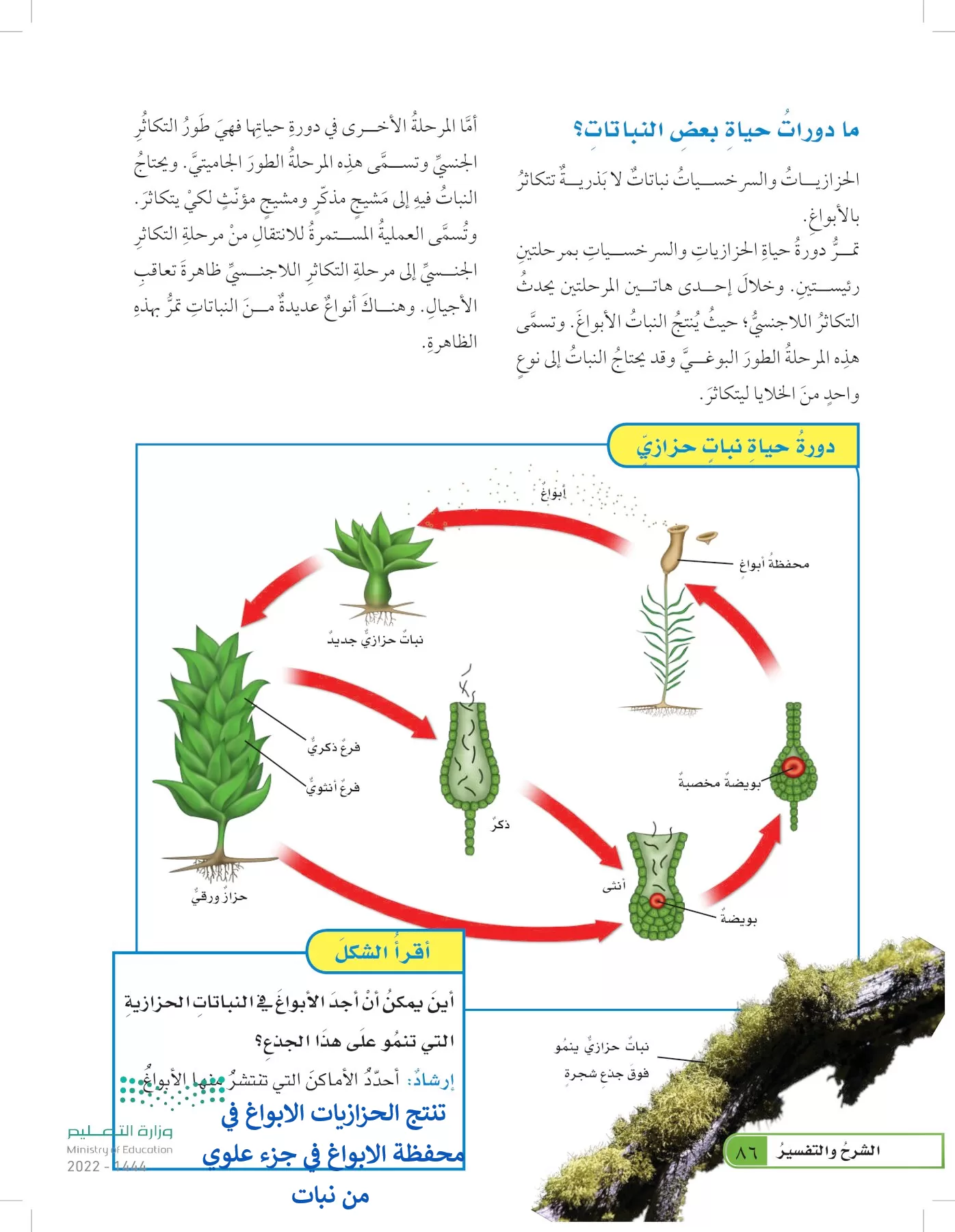 العلوم page-85