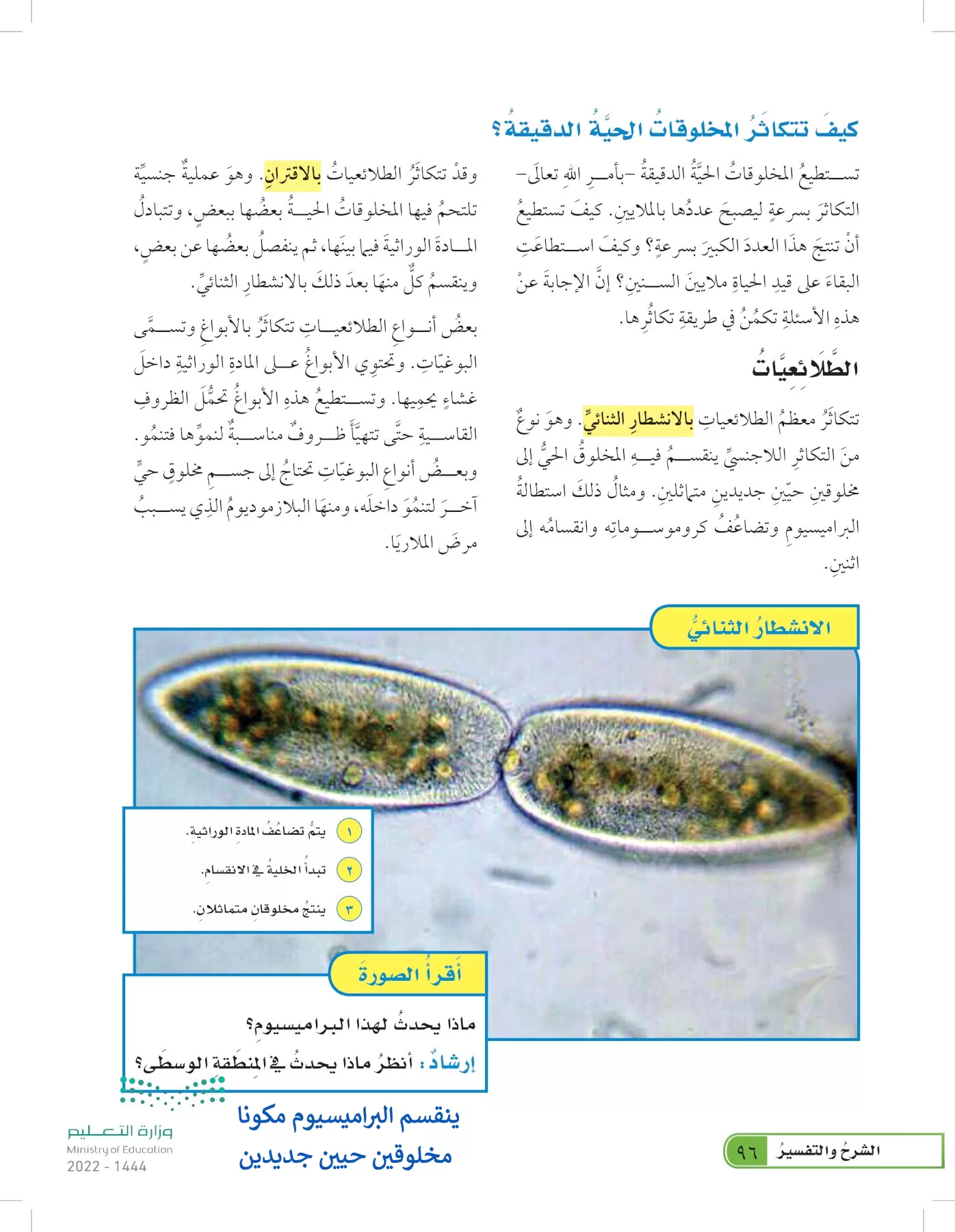 العلوم page-95