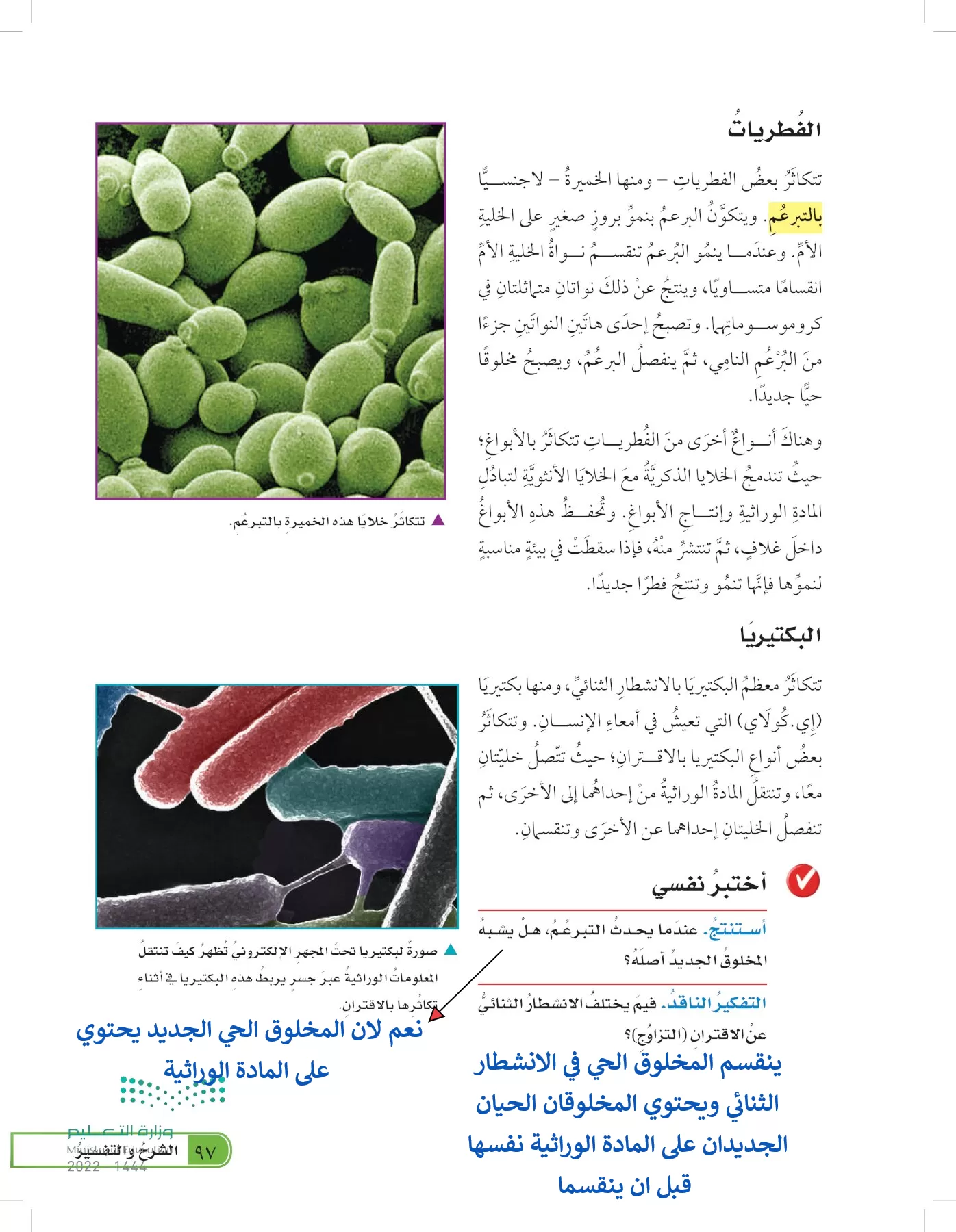 العلوم page-96