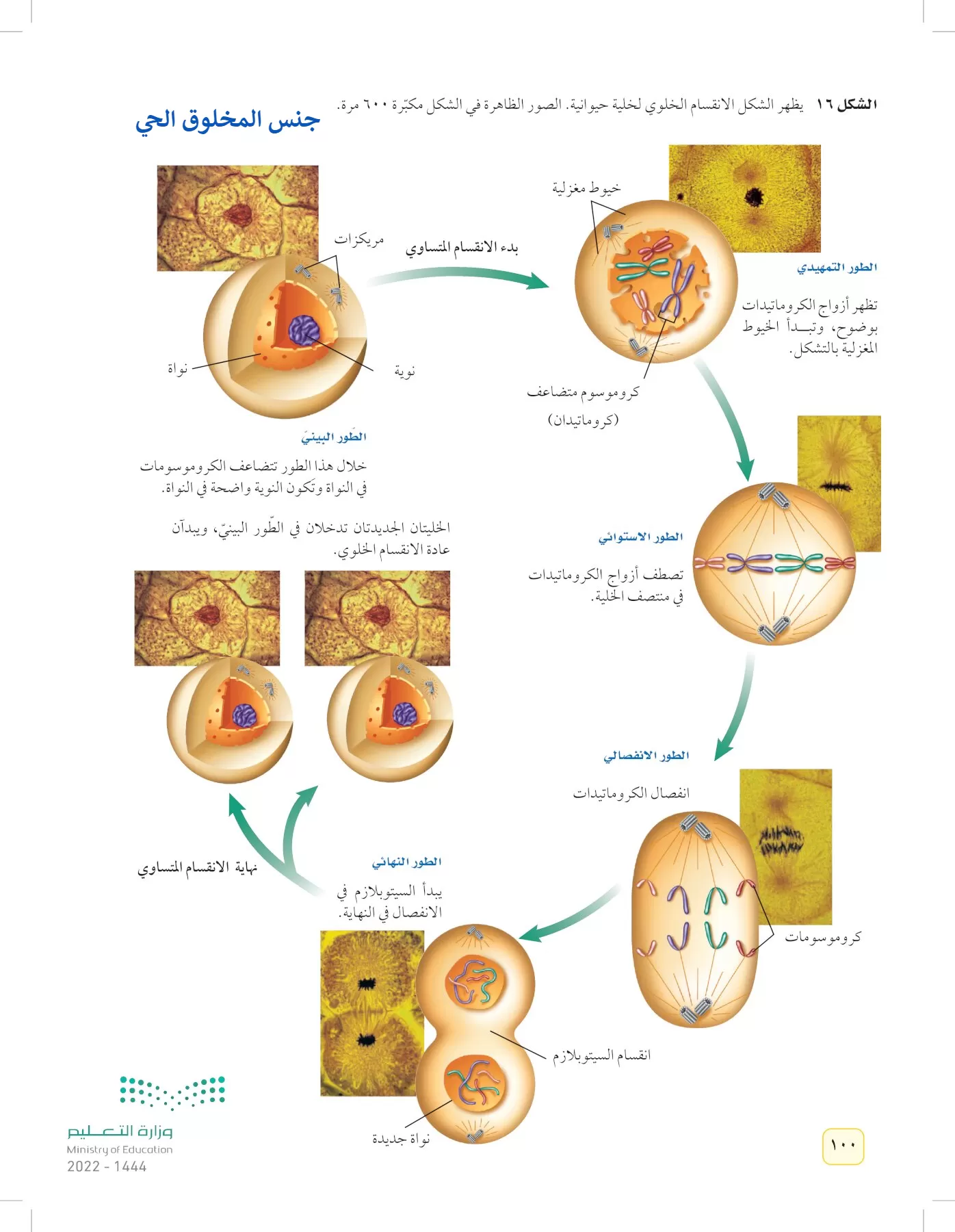 العلوم page-99