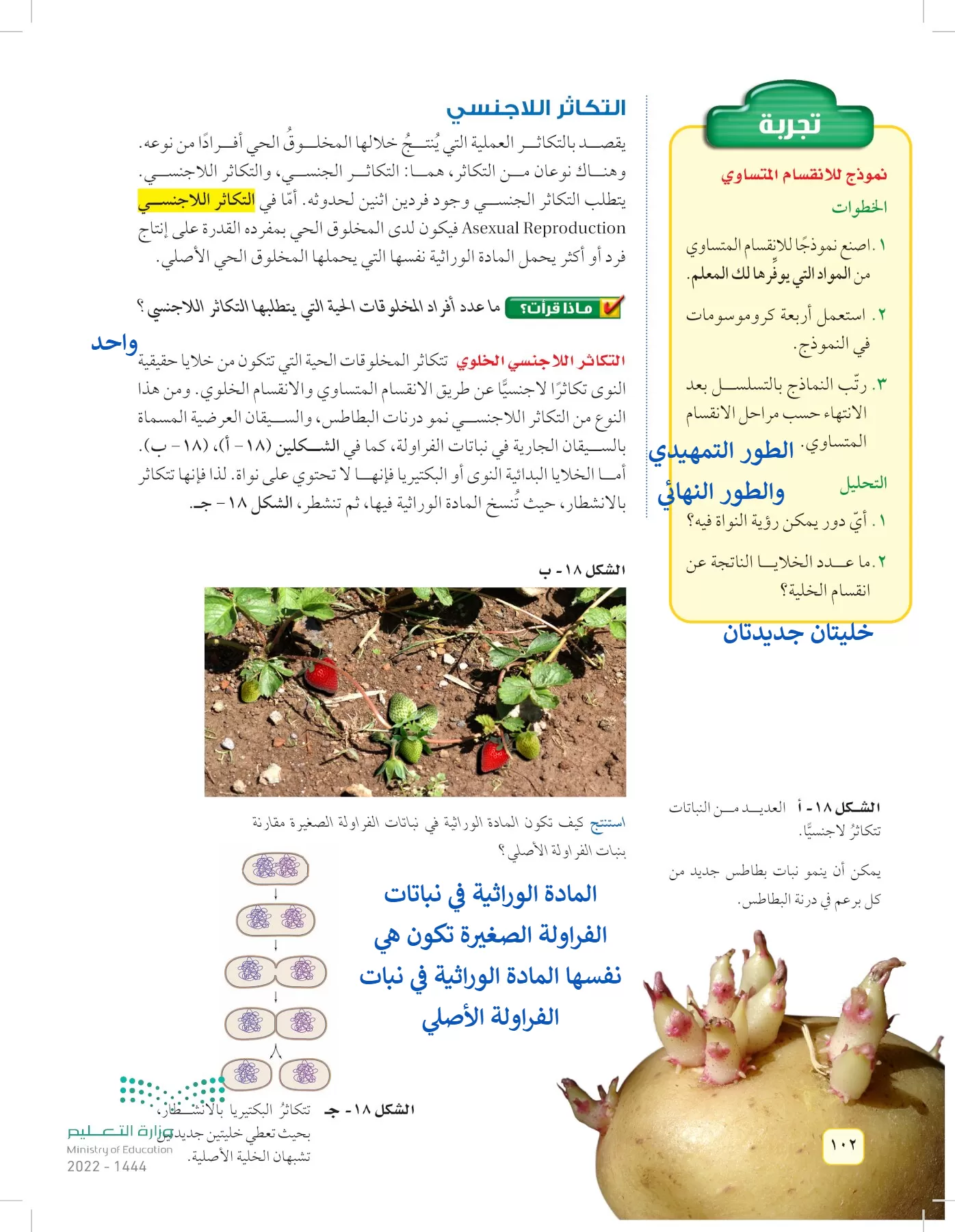 العلوم page-101