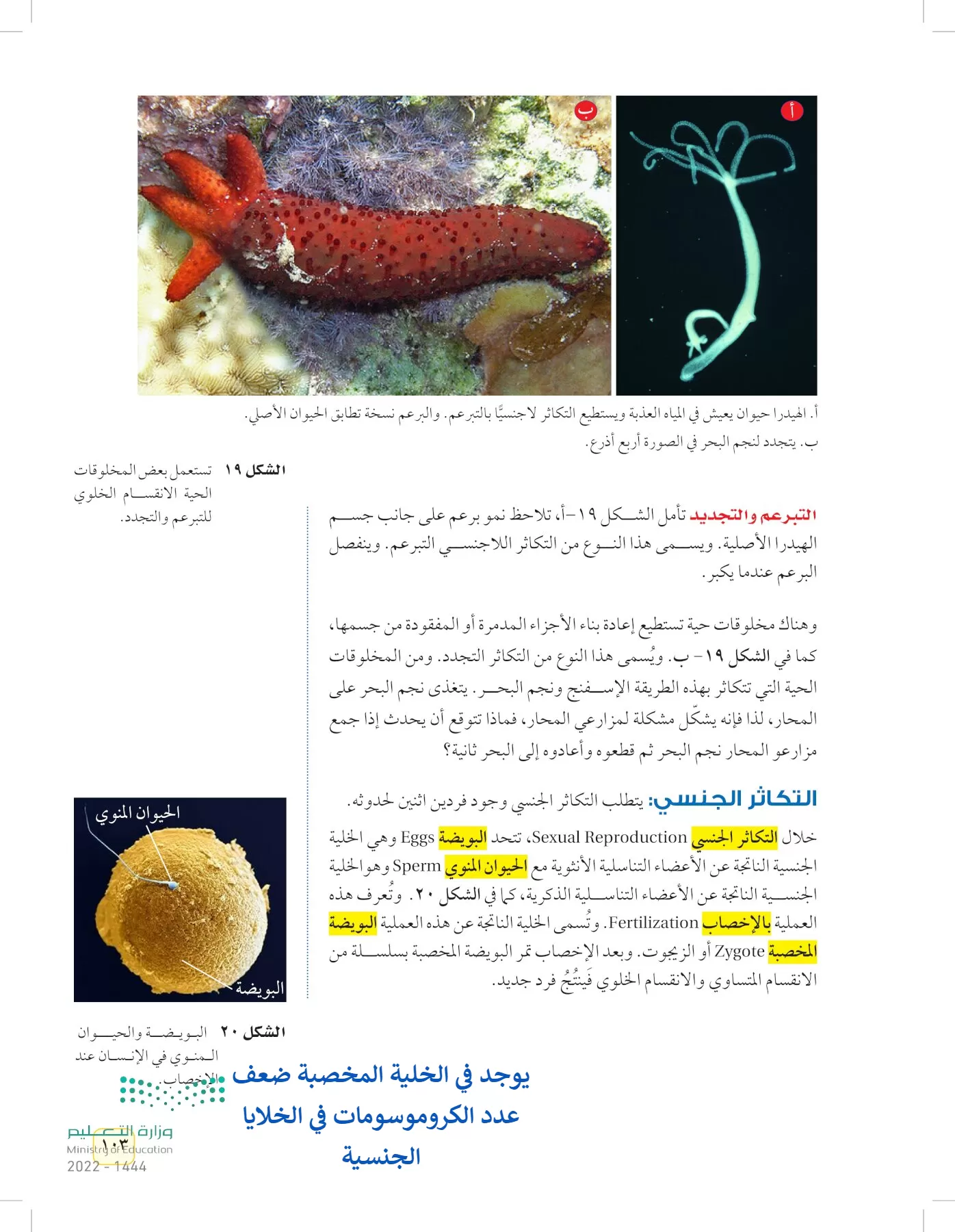 العلوم page-102