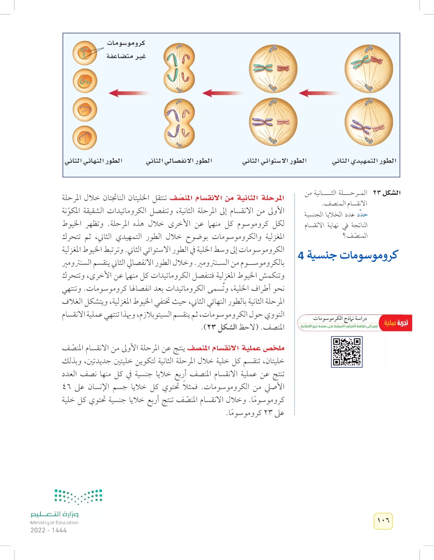 العلوم page-105