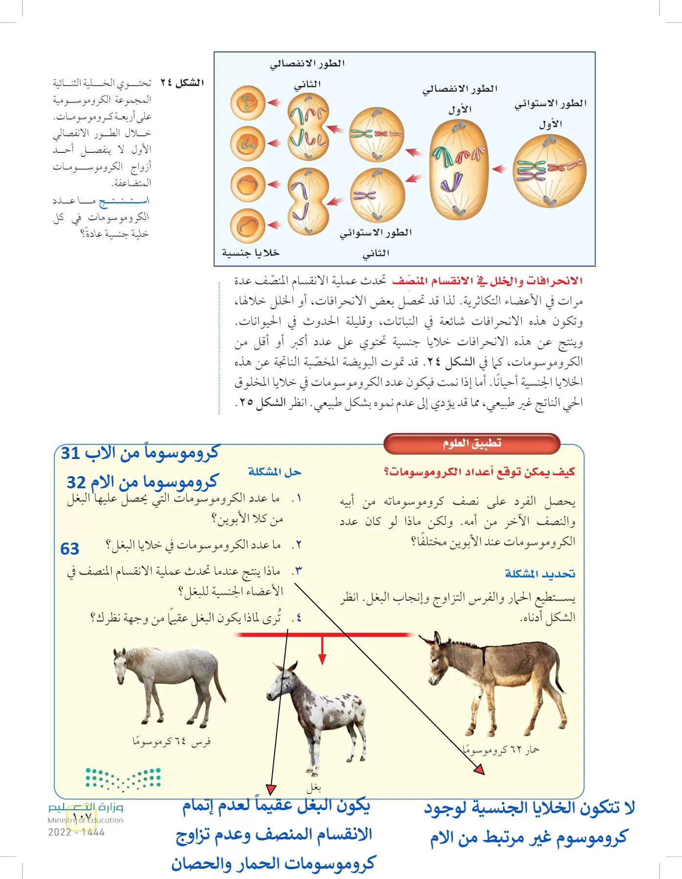 العلوم page-106