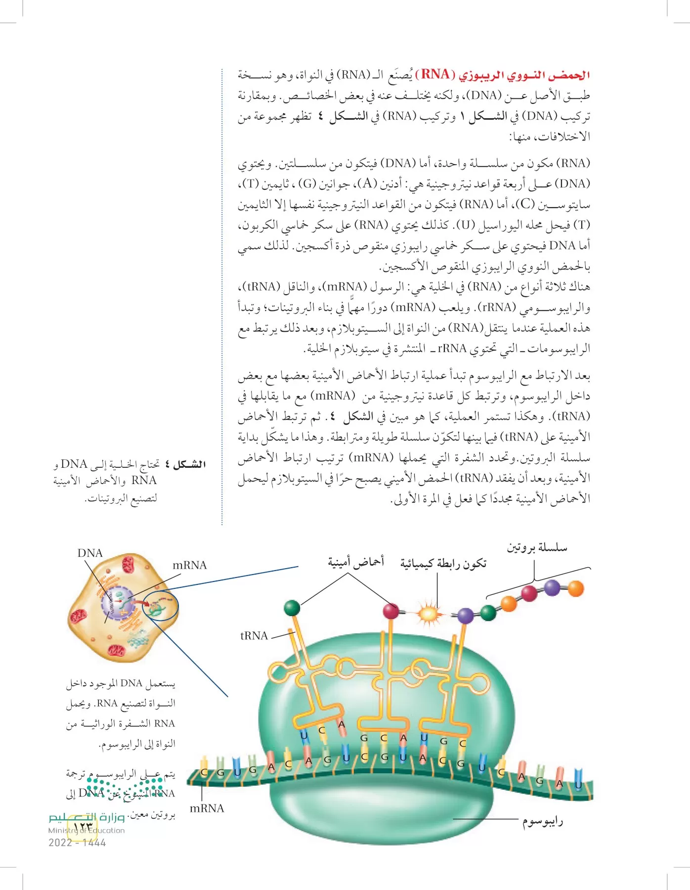 العلوم page-122